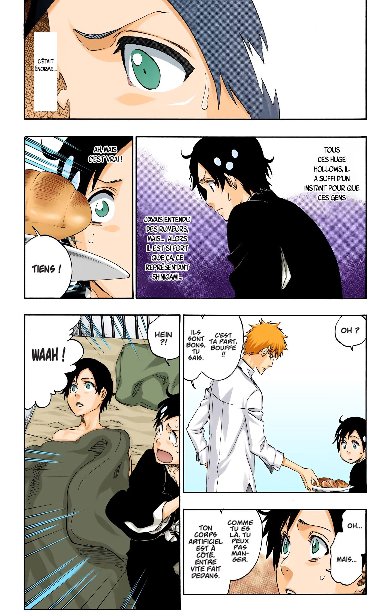 Read Bleach FR Manga Online