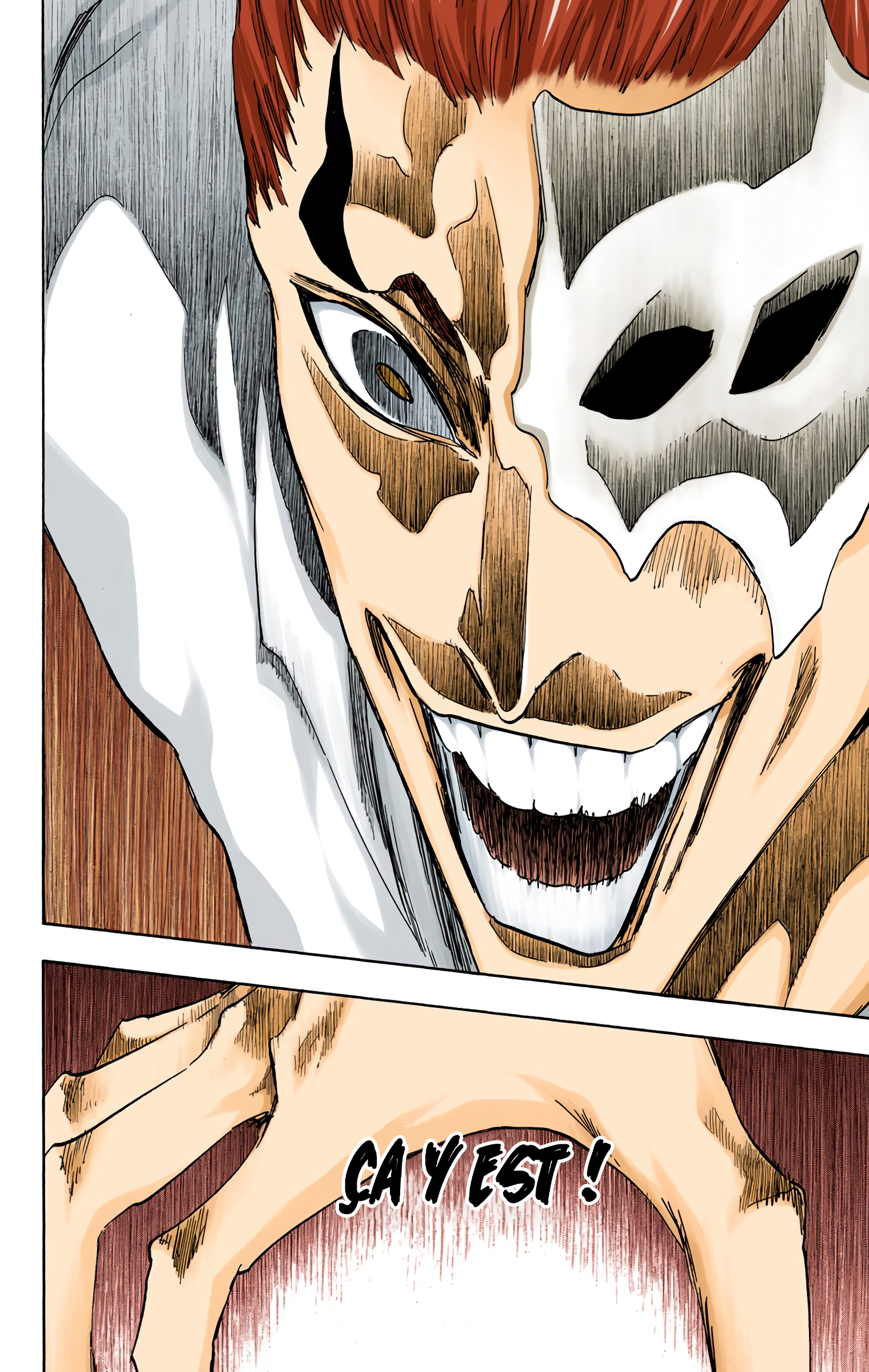 Read Bleach FR Manga Online