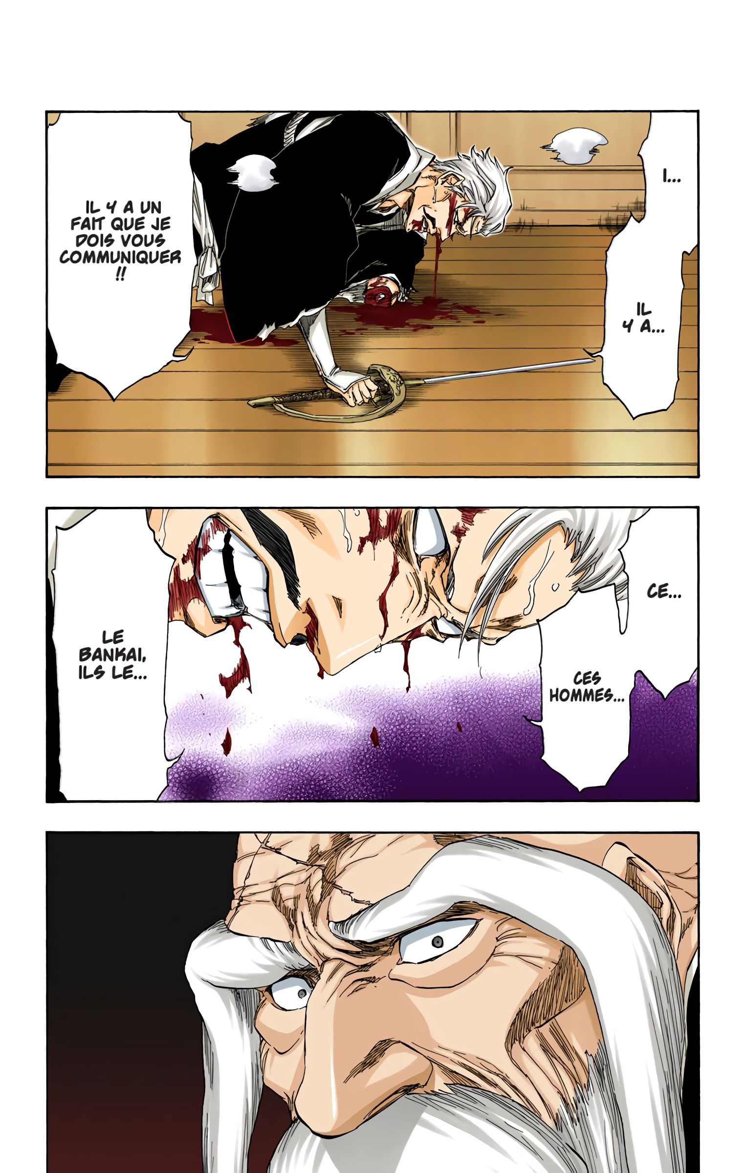 Read Bleach FR Manga Online