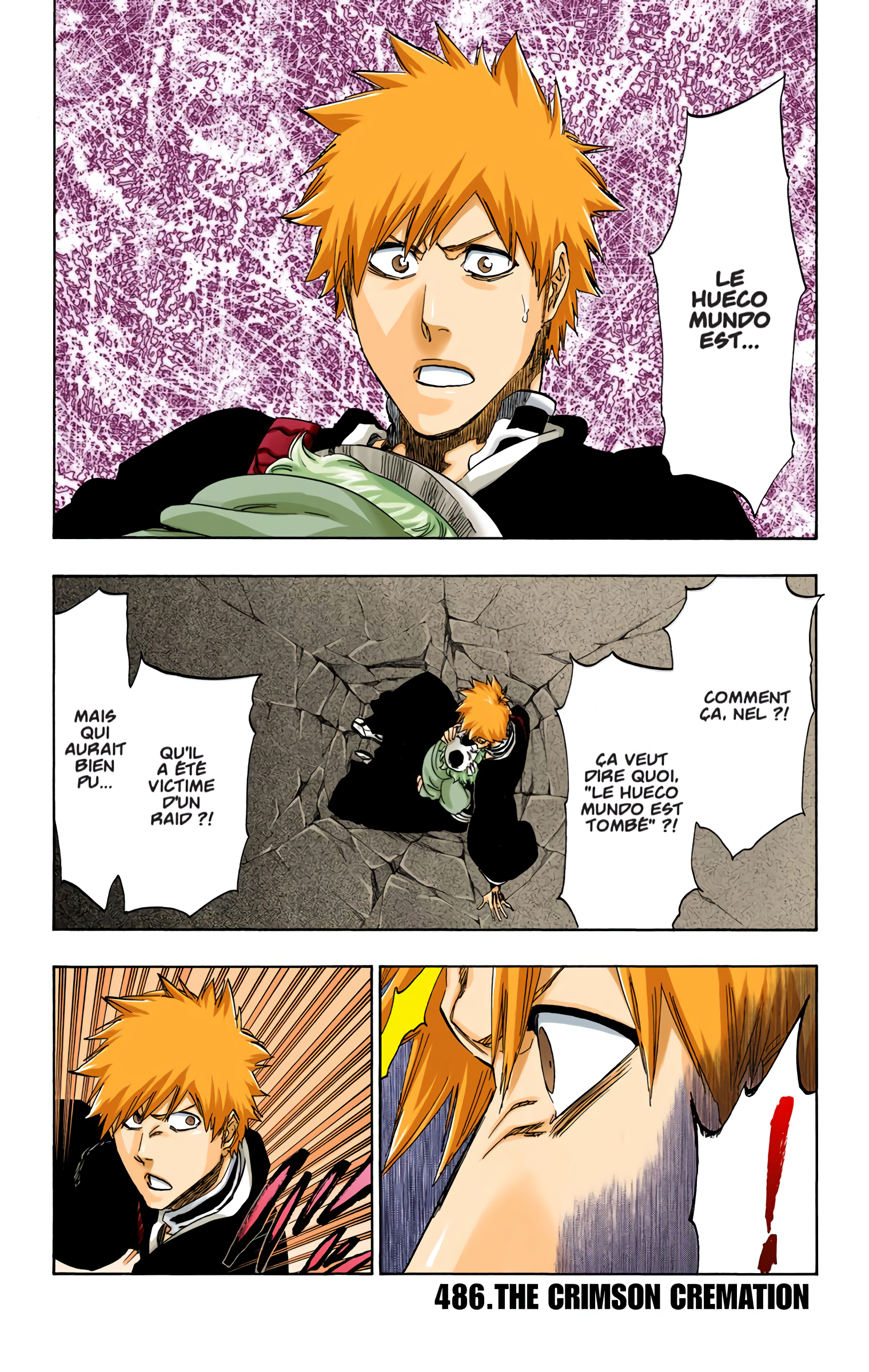 Read Bleach FR Manga Online
