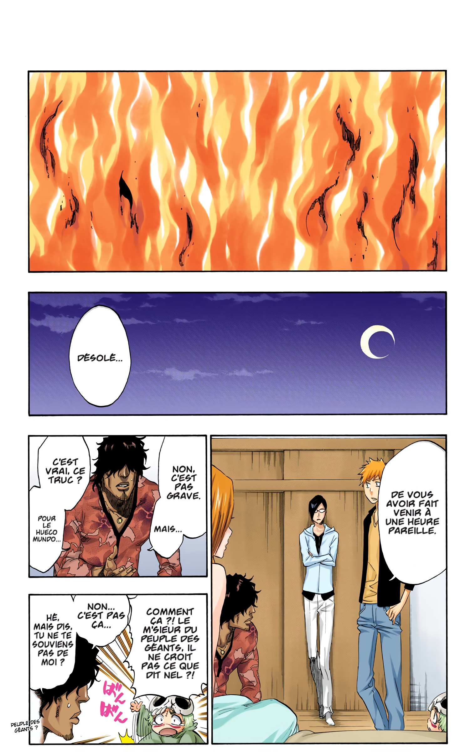 Read Bleach FR Manga Online