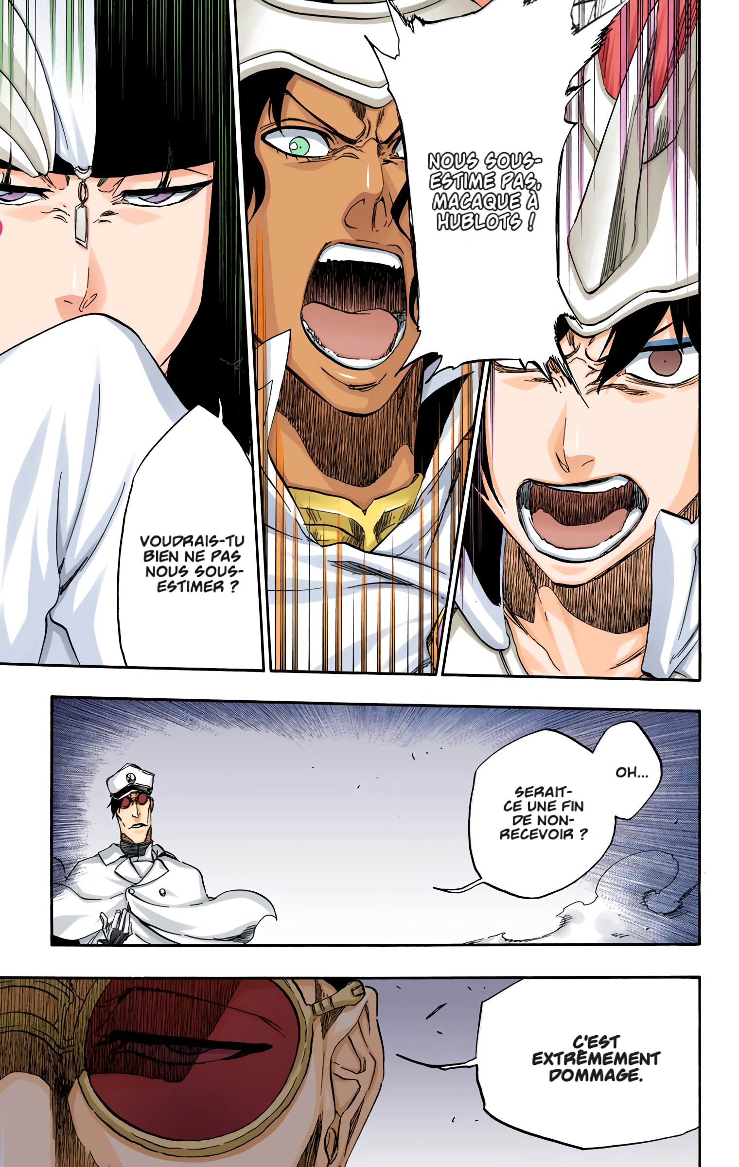 Read Bleach FR Manga Online