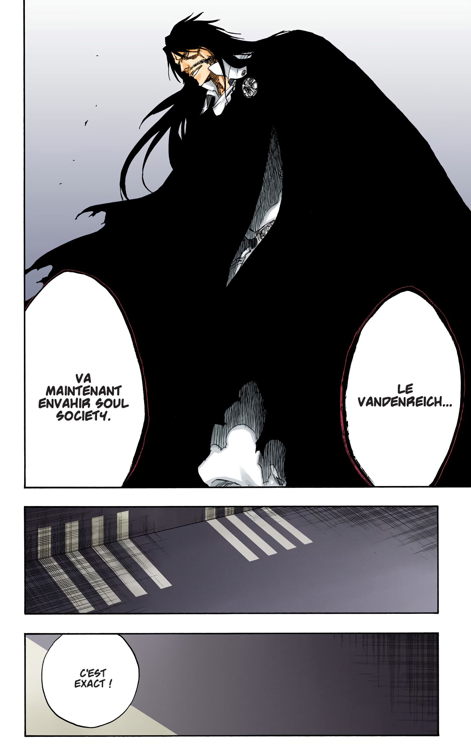 Read Bleach FR Manga Online