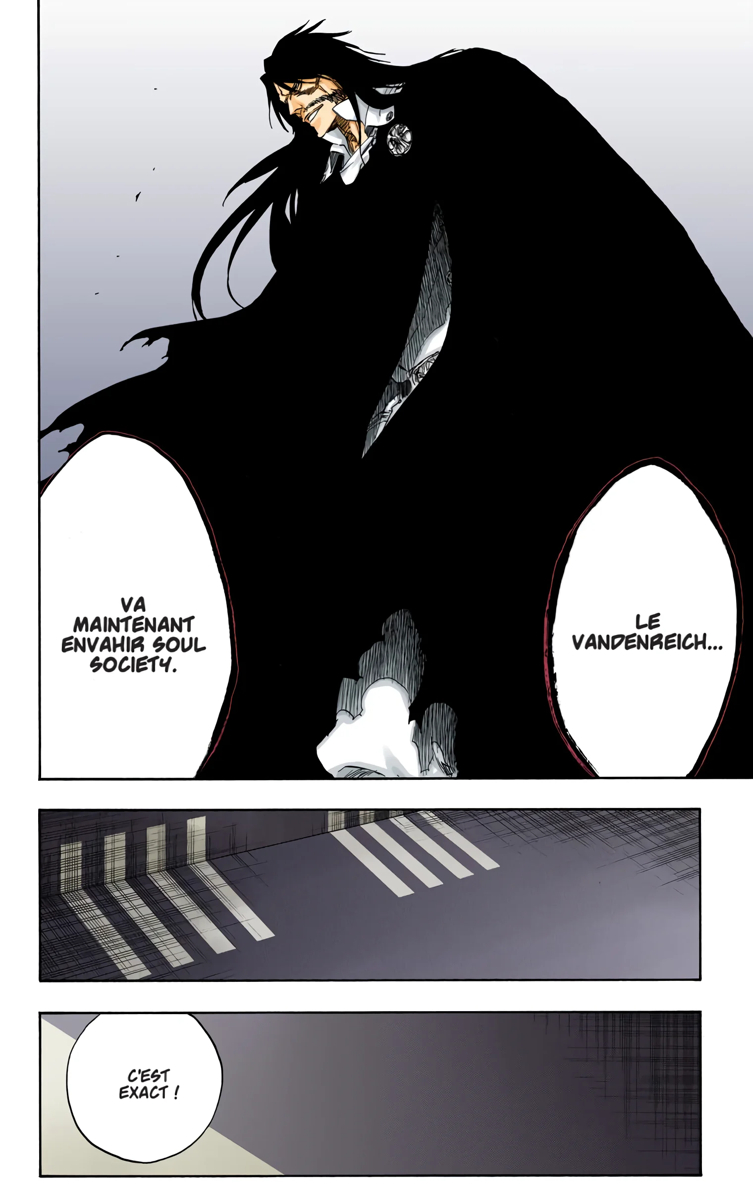 Read Bleach FR Manga Online