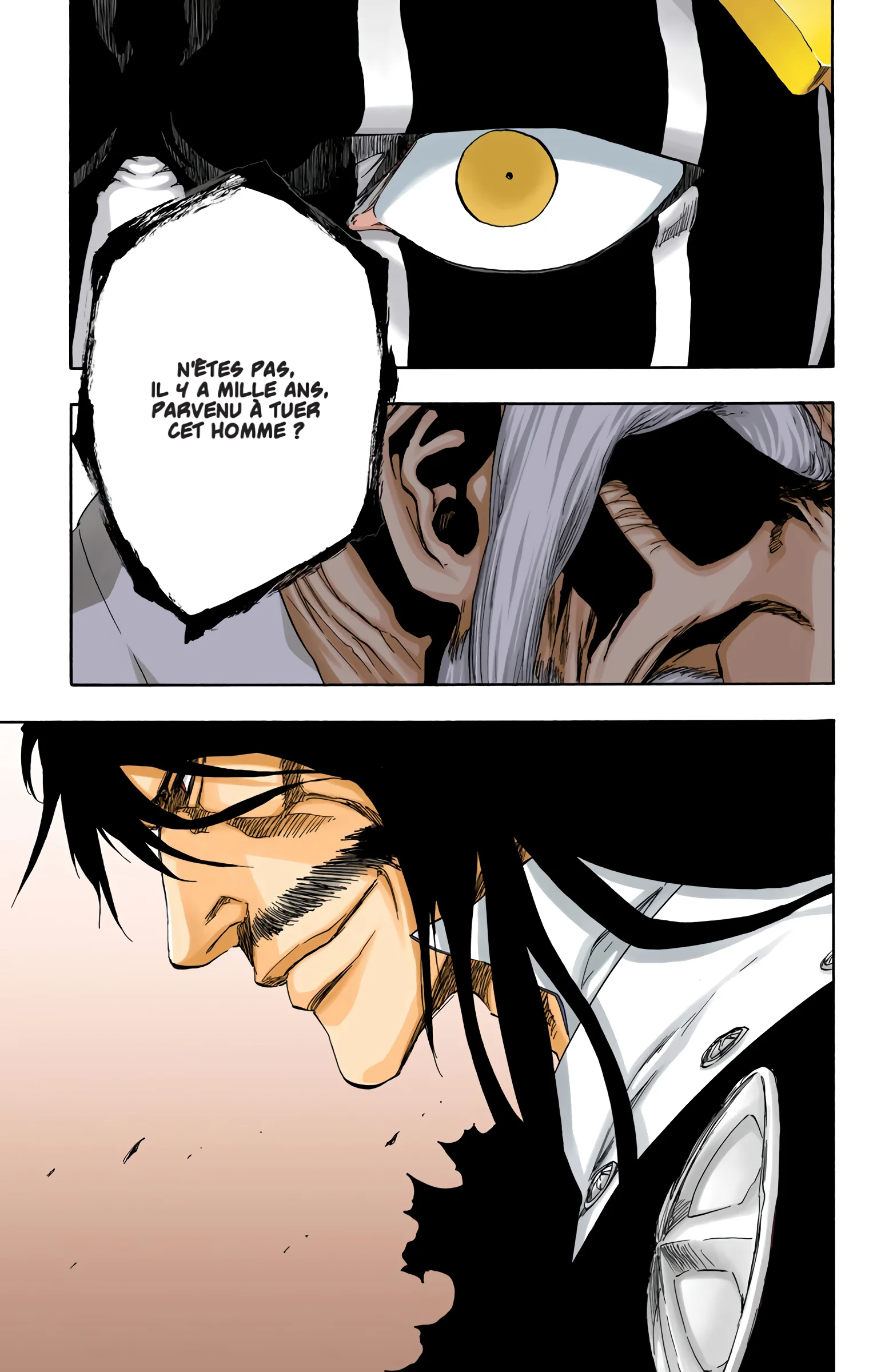Read Bleach FR Manga Online