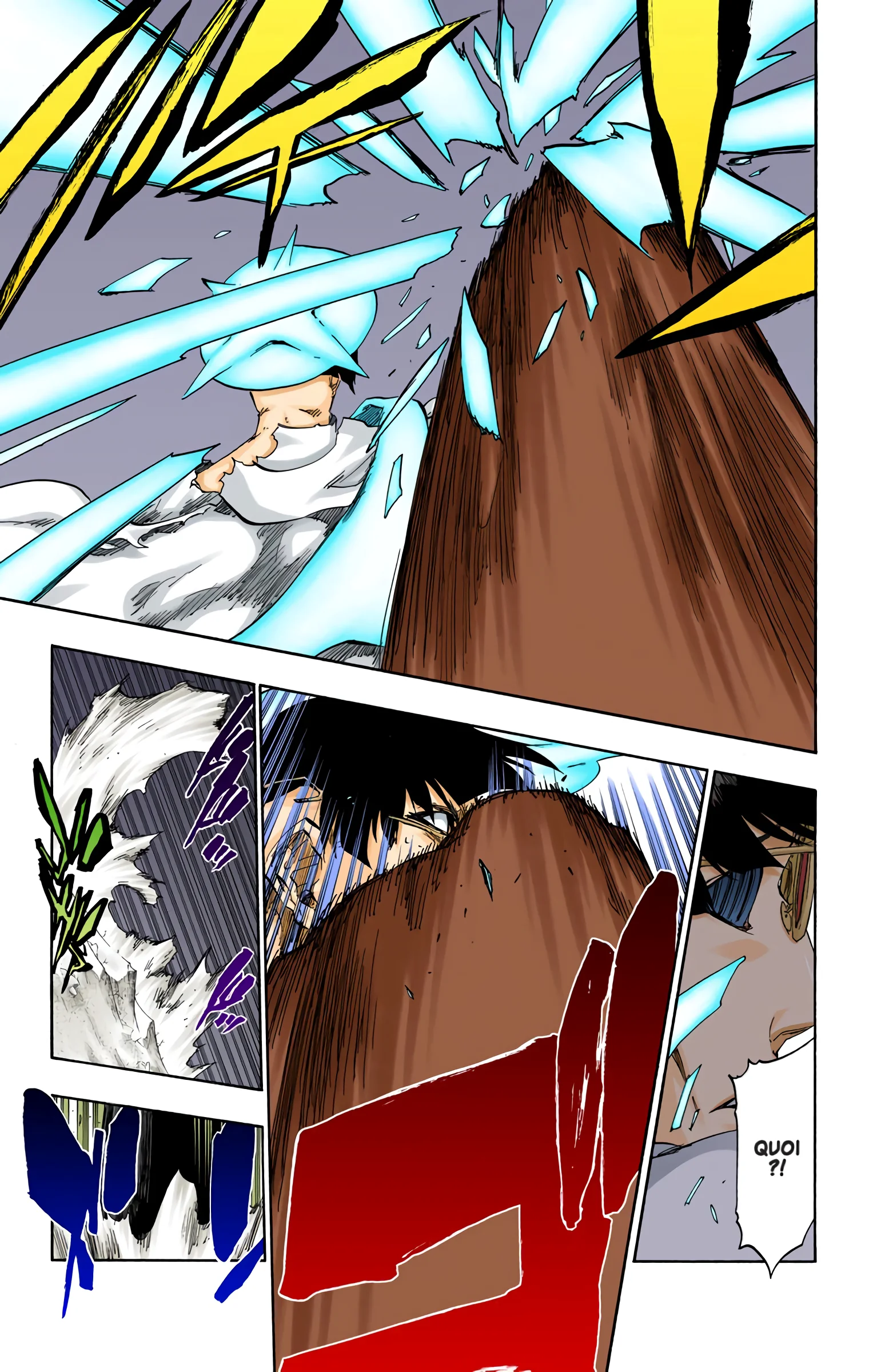 Read Bleach FR Manga Online
