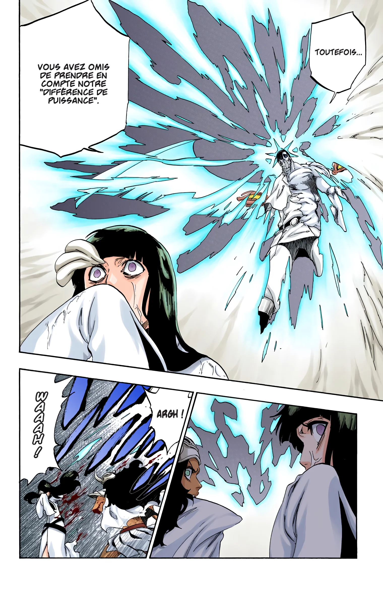 Read Bleach FR Manga Online