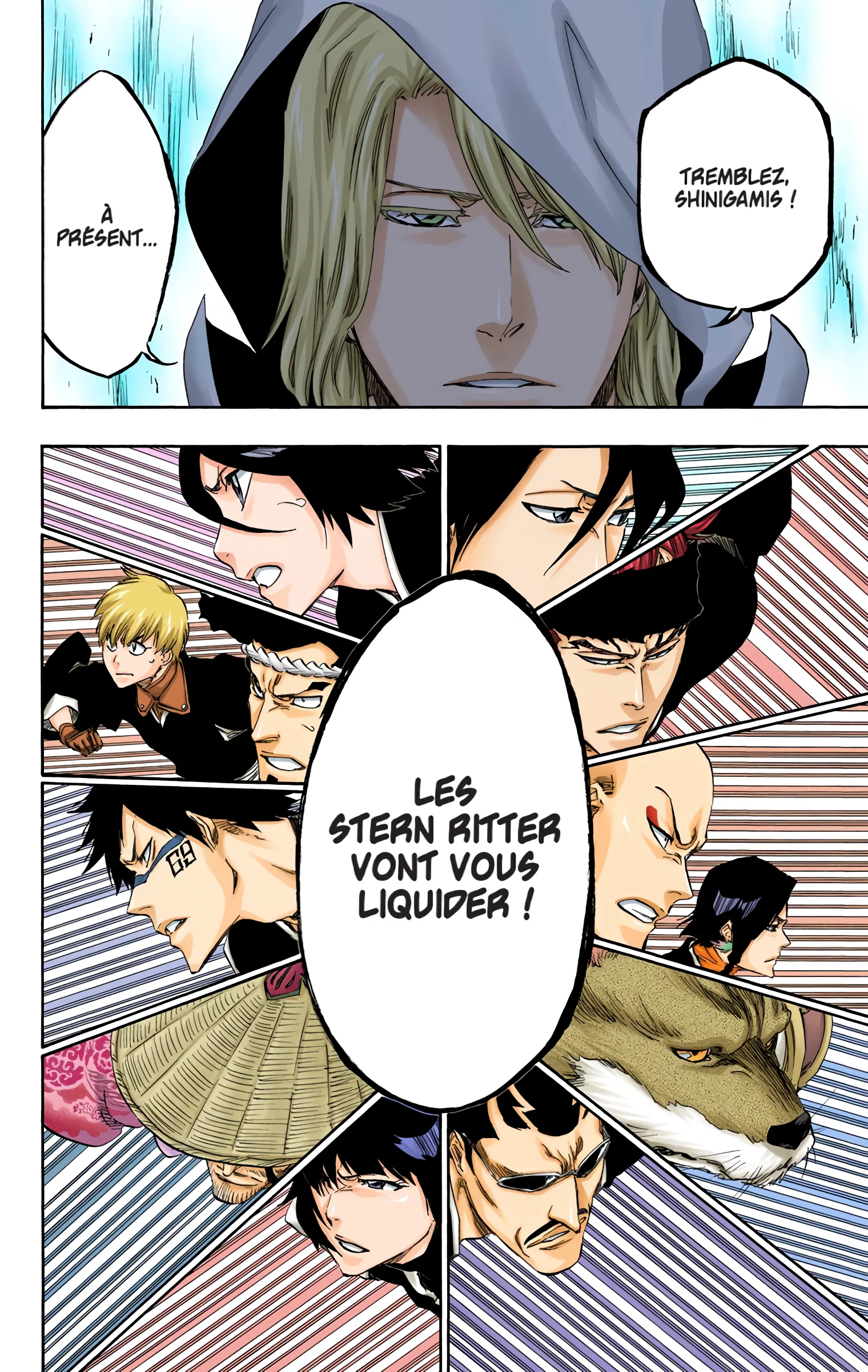 Read Bleach FR Manga Online