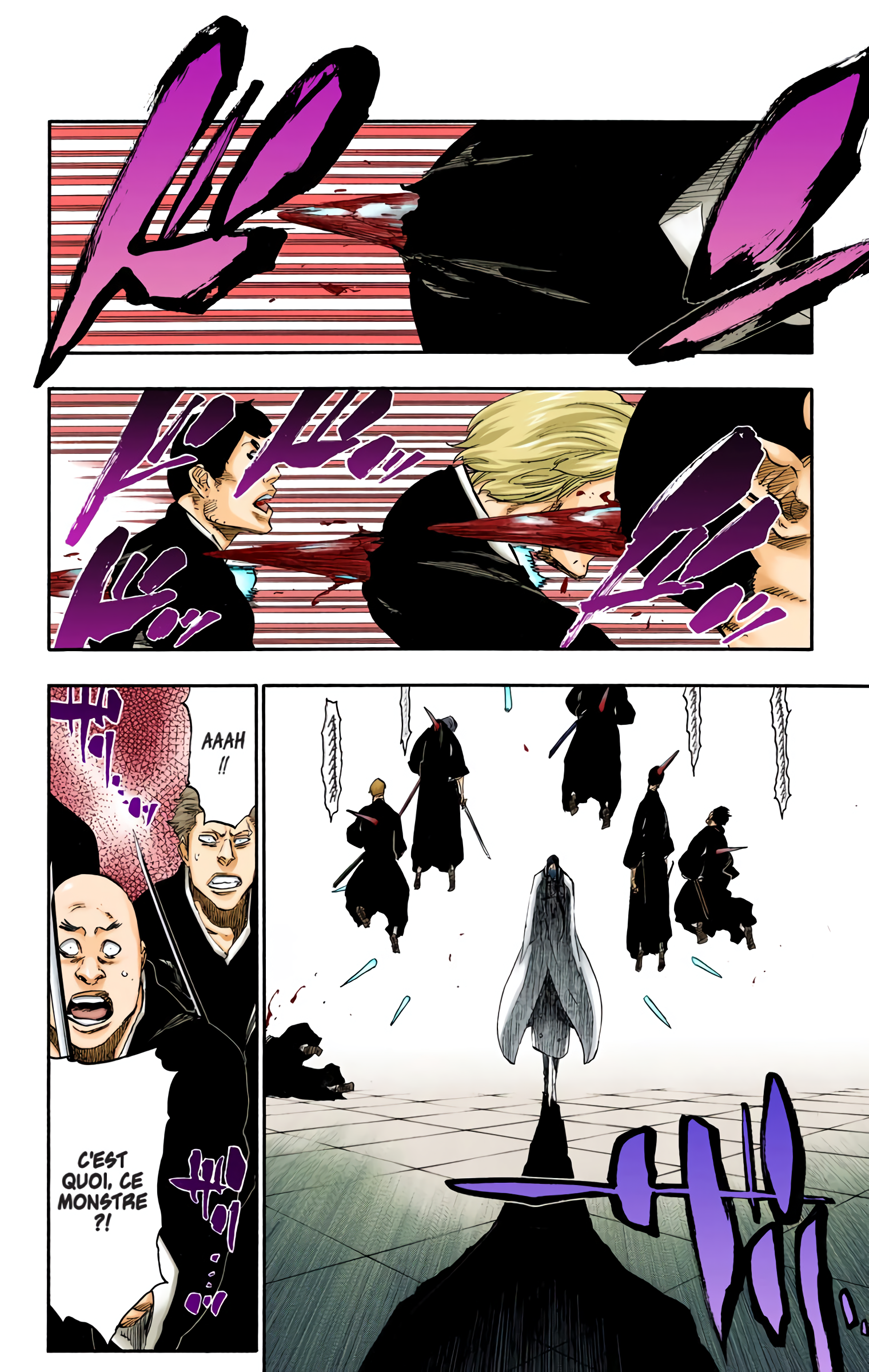Read Bleach FR Manga Online