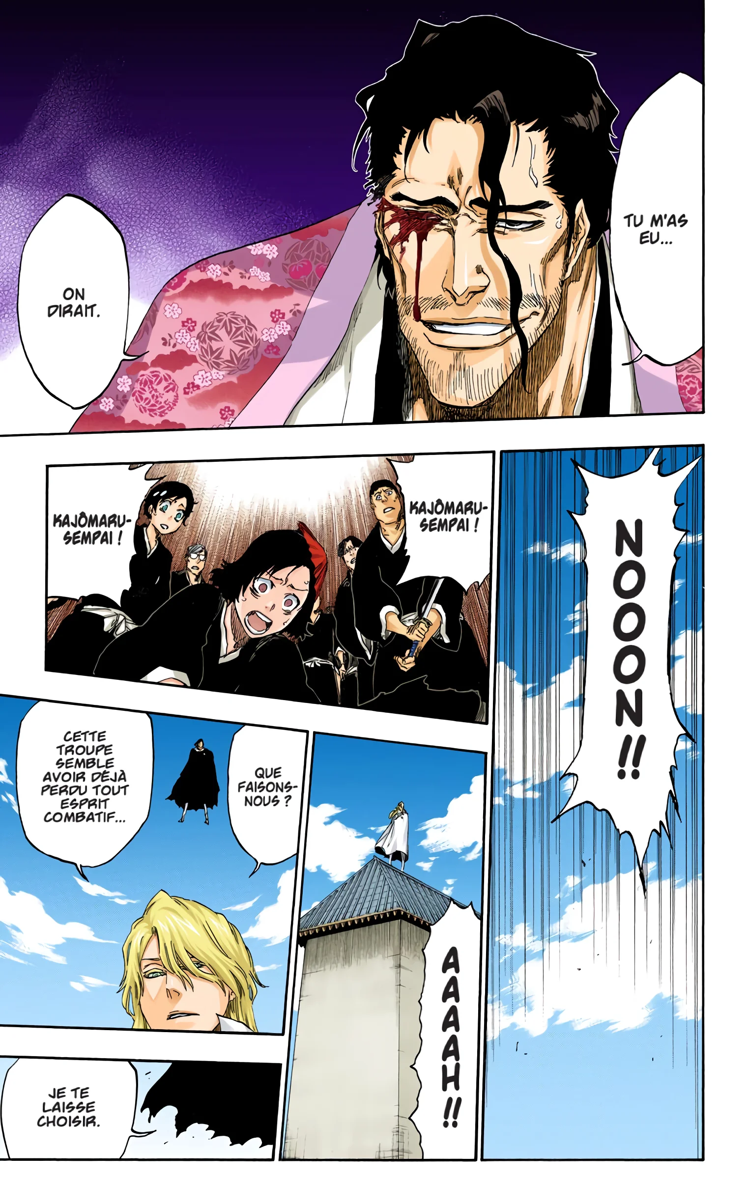 Read Bleach FR Manga Online