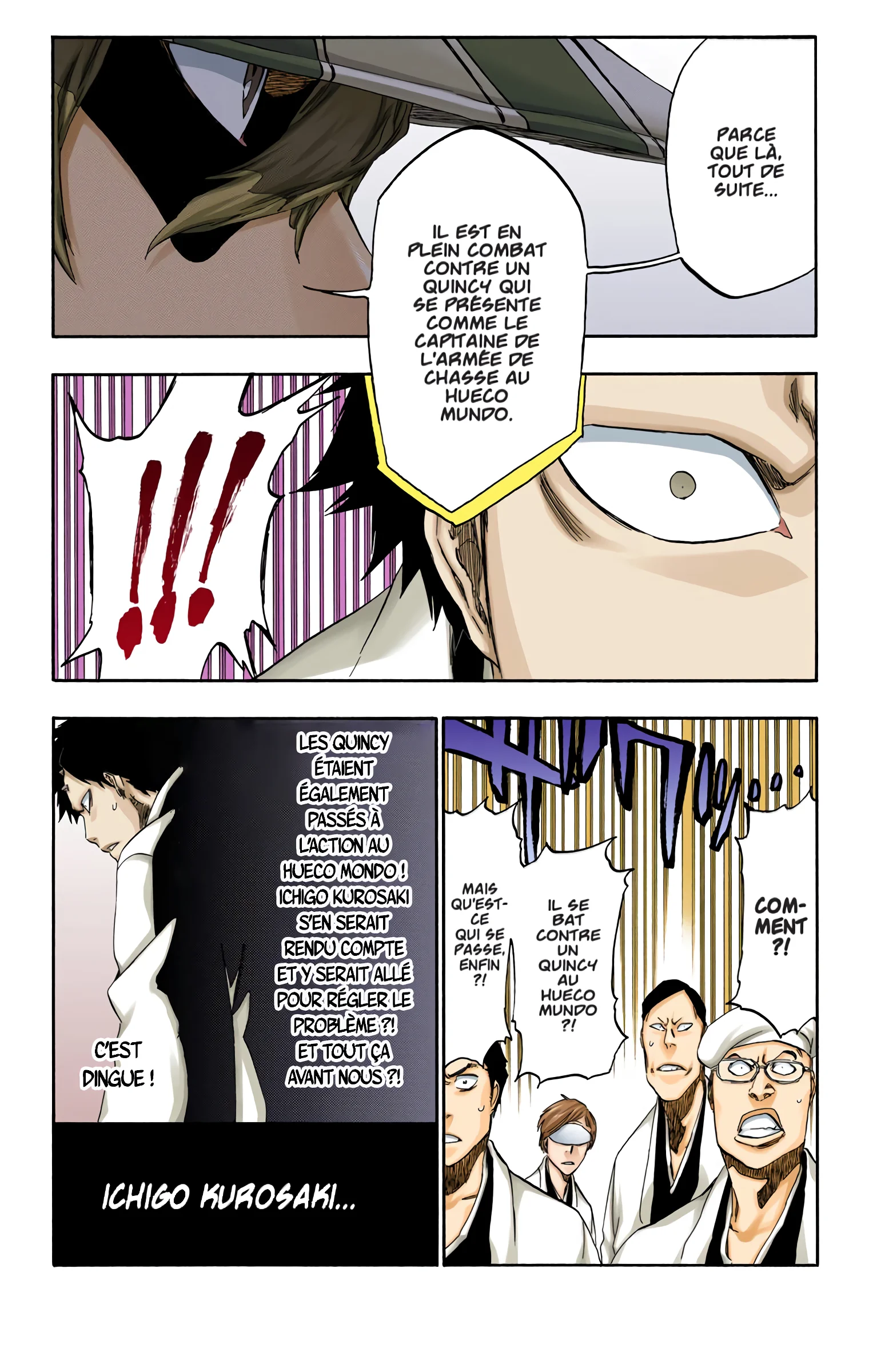 Read Bleach FR Manga Online