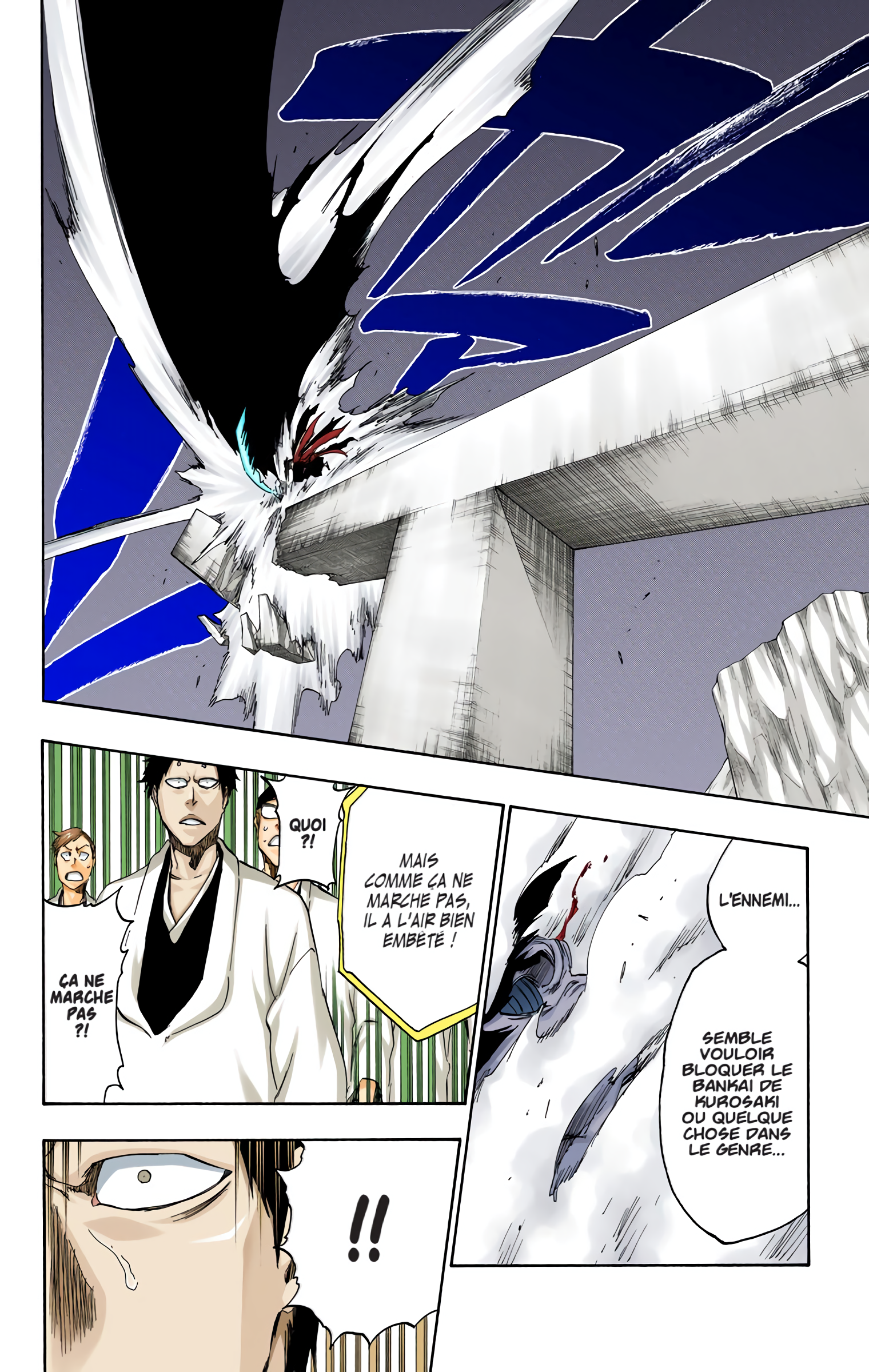 Read Bleach FR Manga Online