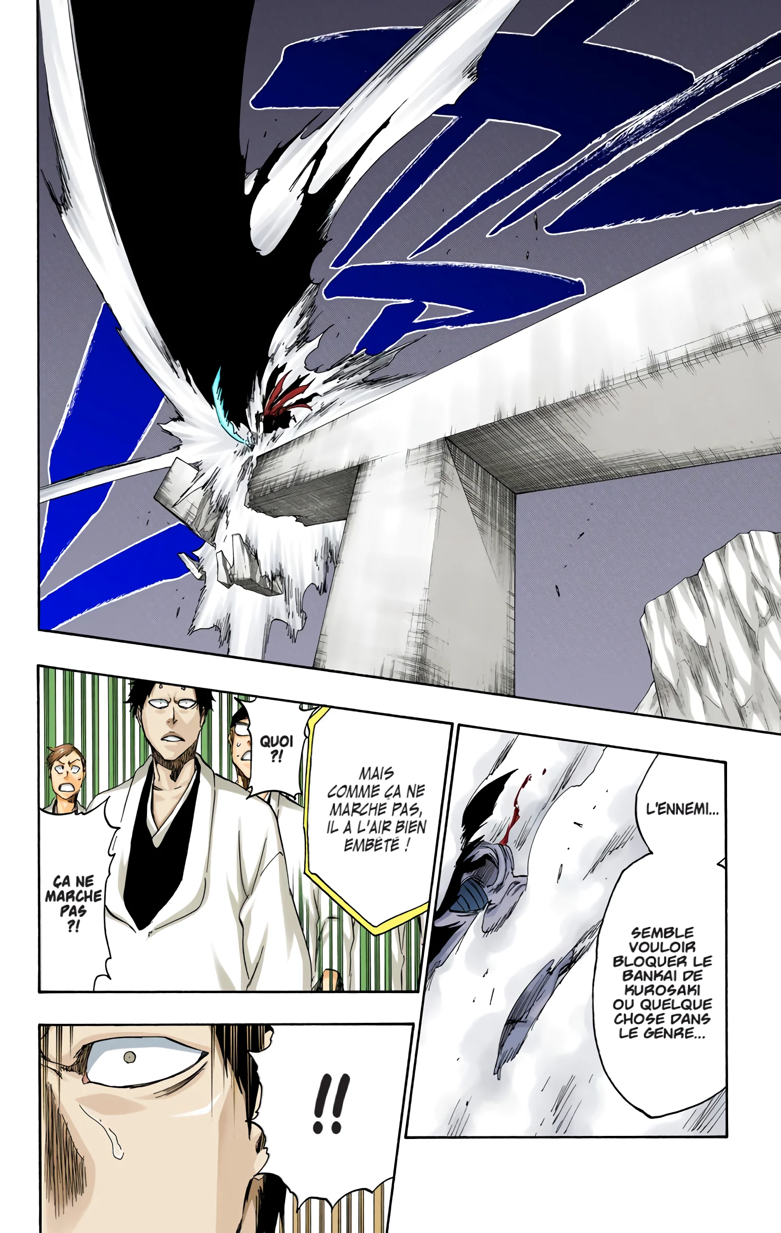 Read Bleach FR Manga Online