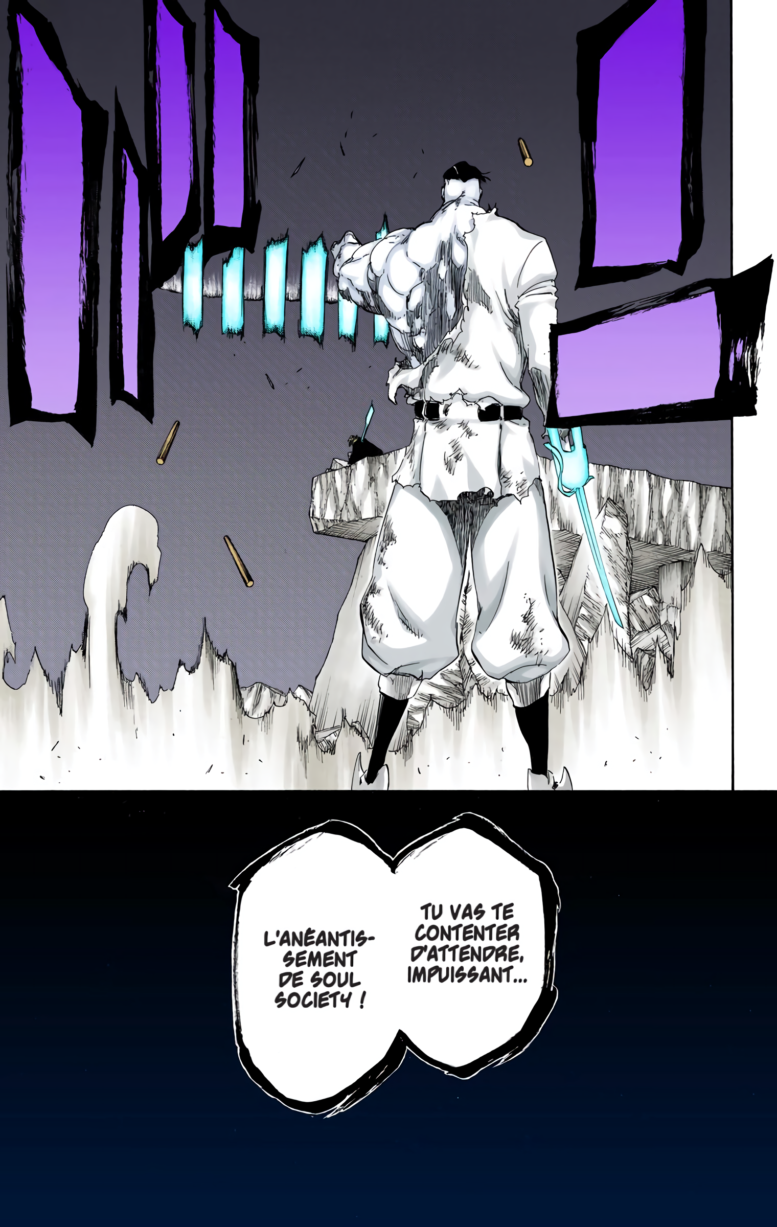 Read Bleach FR Manga Online