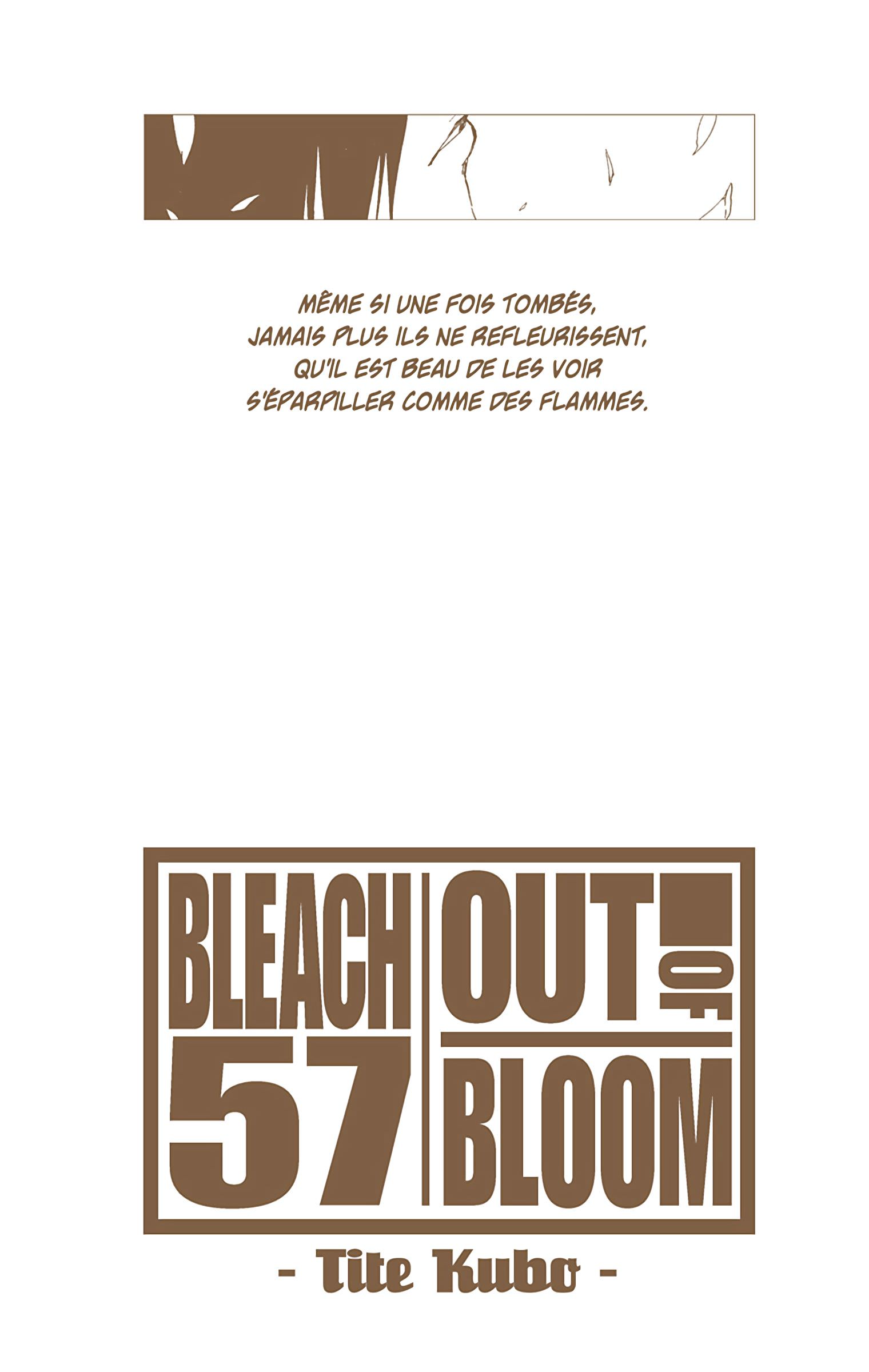 Read Bleach FR Manga Online