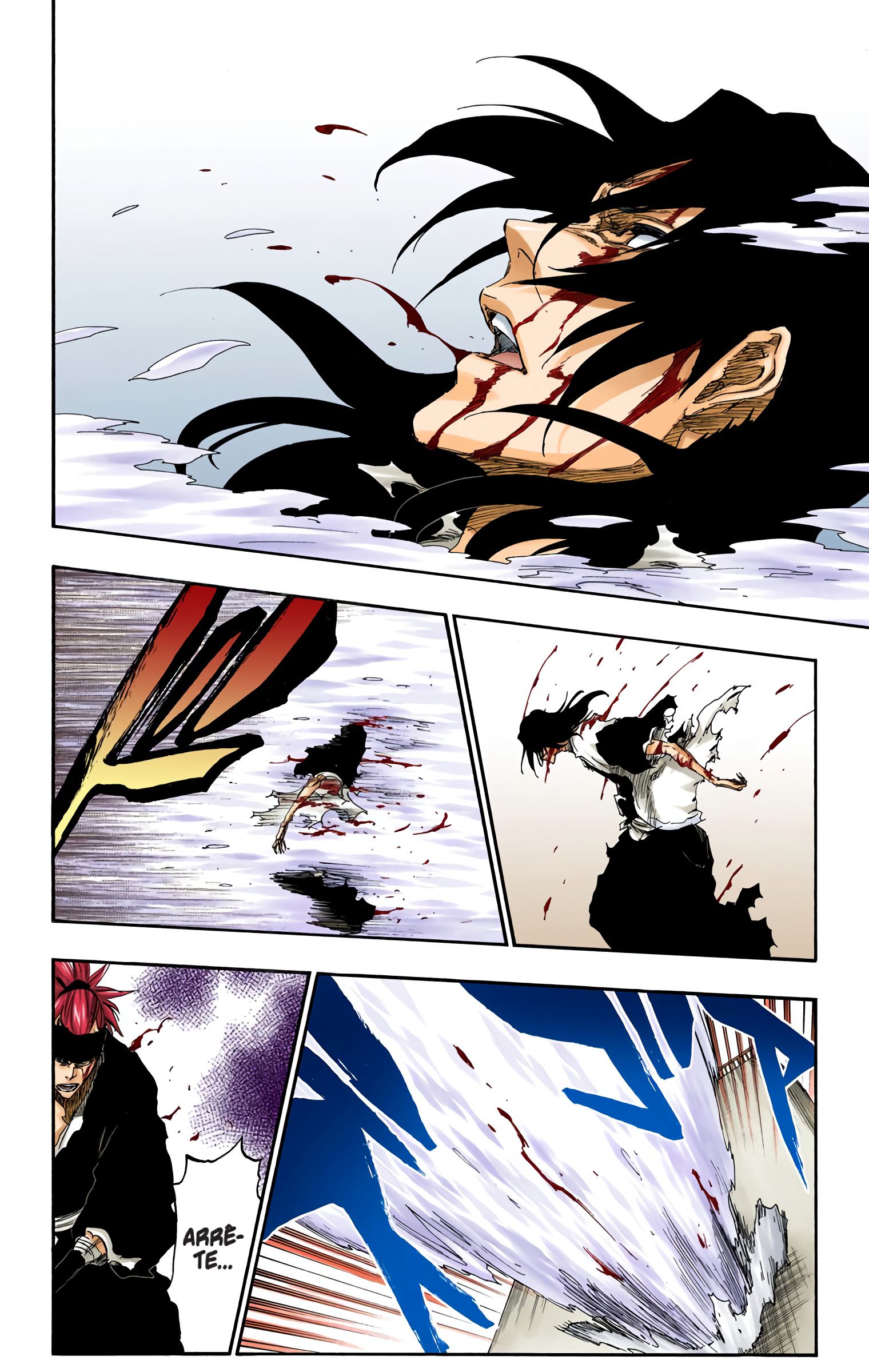 Read Bleach FR Manga Online
