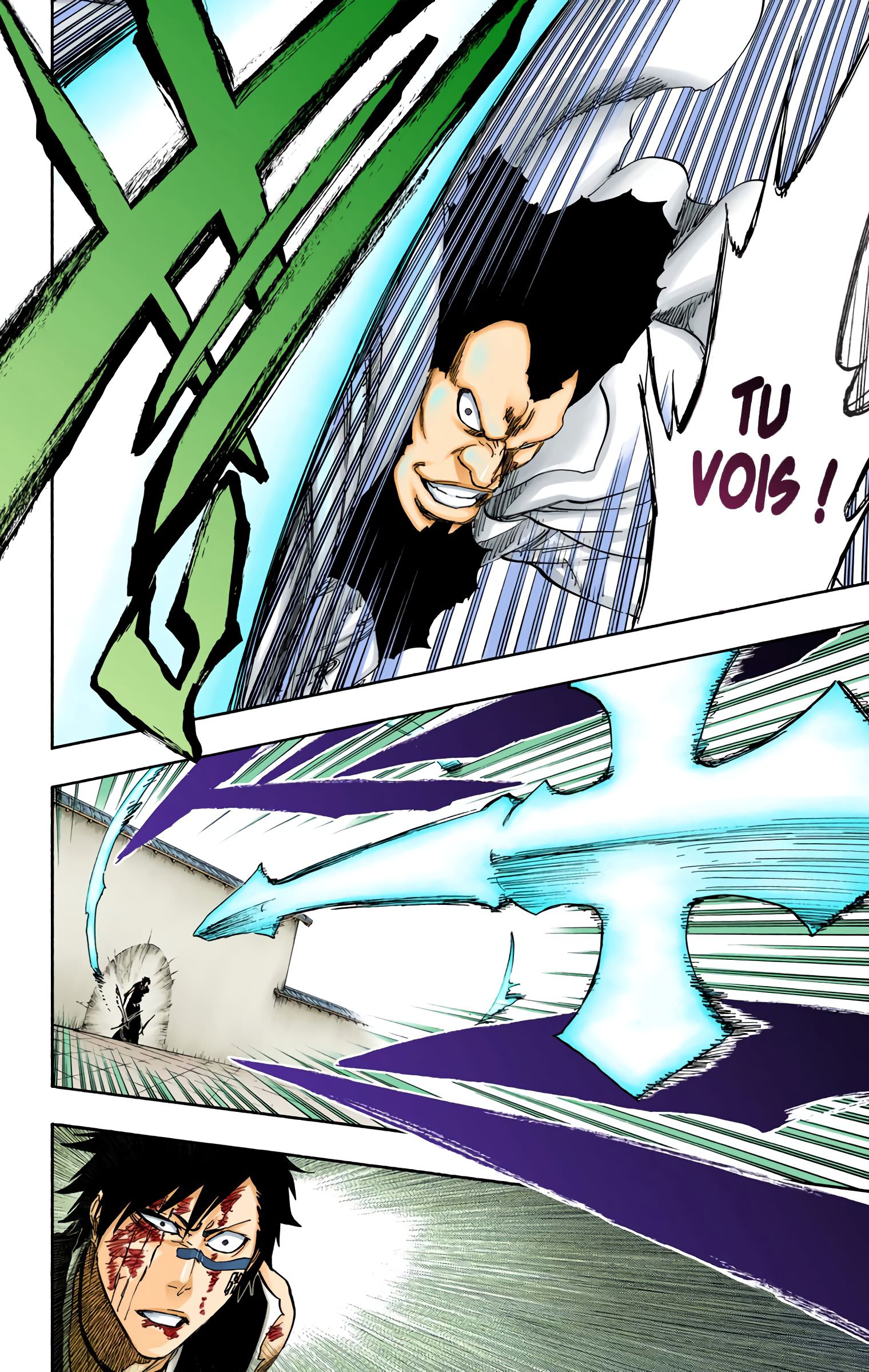 Read Bleach FR Manga Online