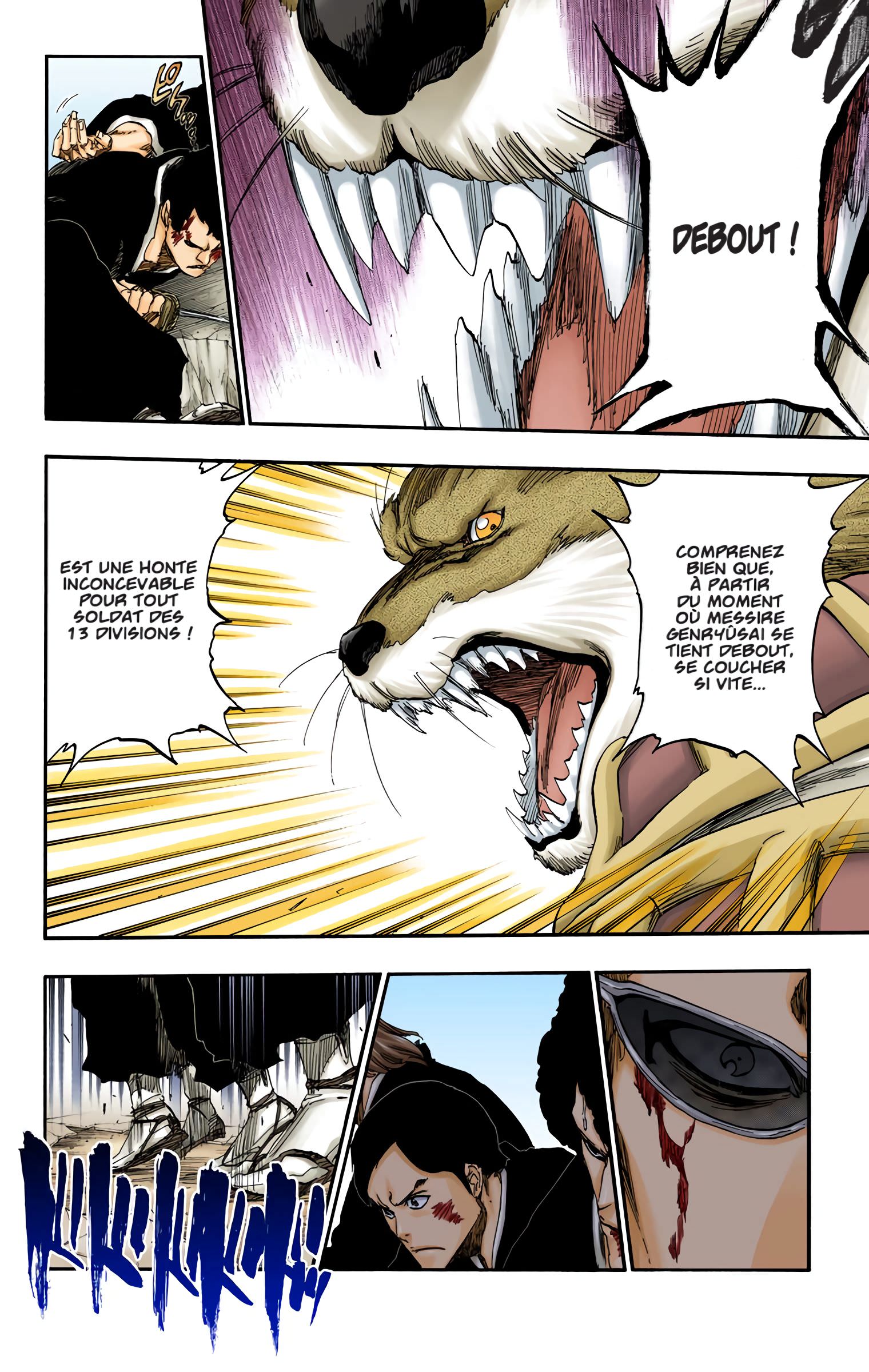 Read Bleach FR Manga Online