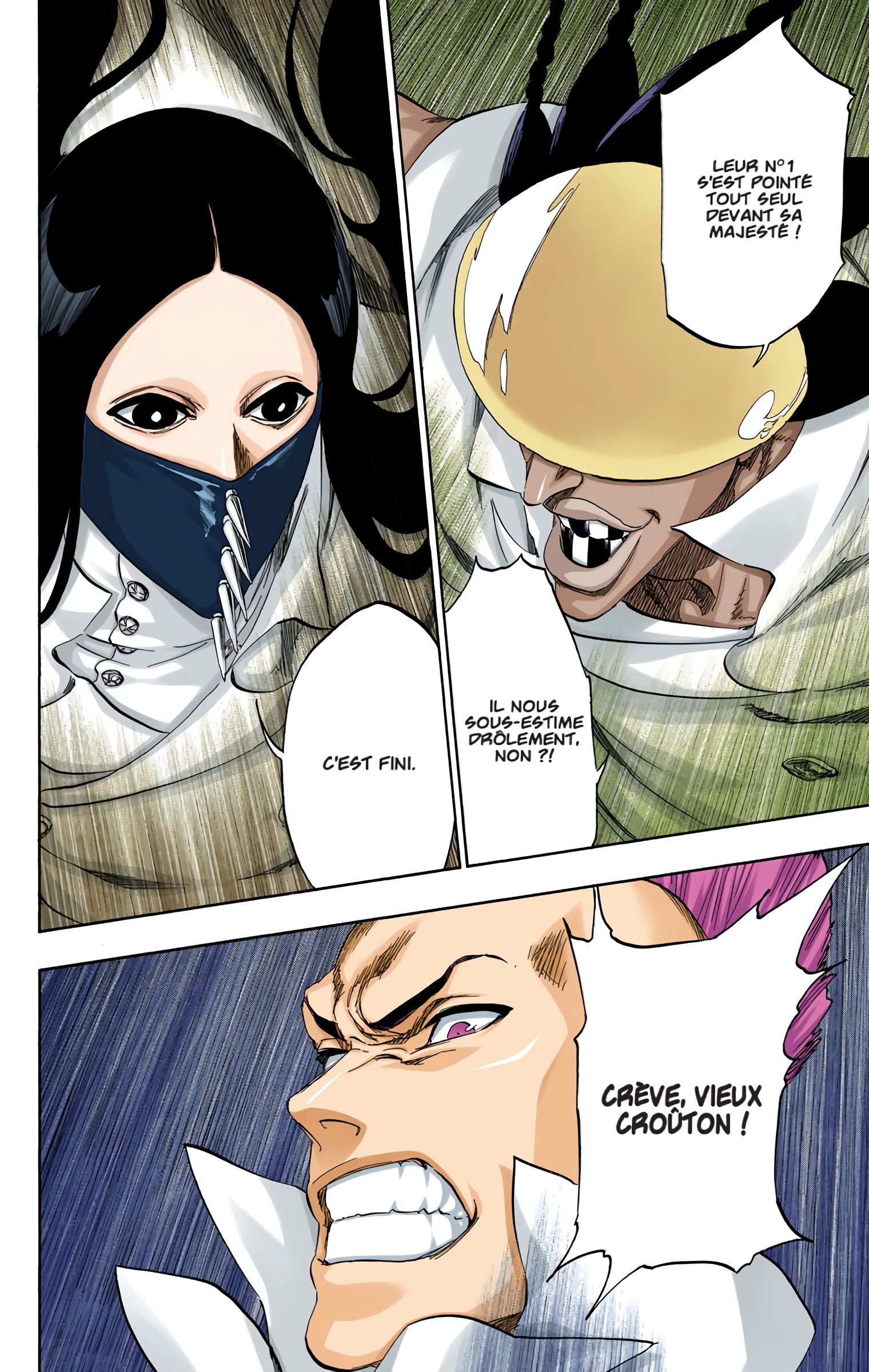 Read Bleach FR Manga Online