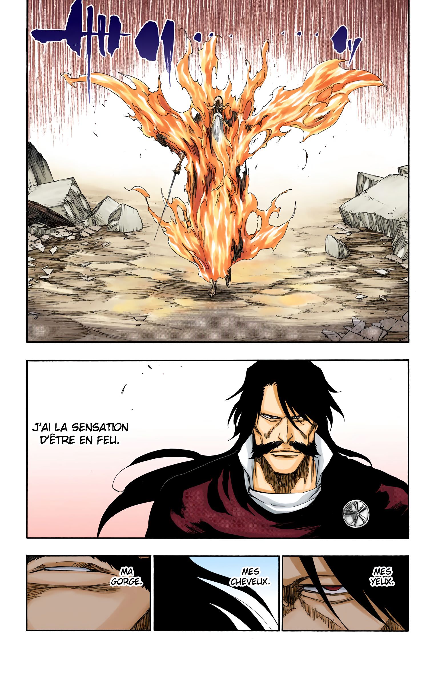 Read Bleach FR Manga Online