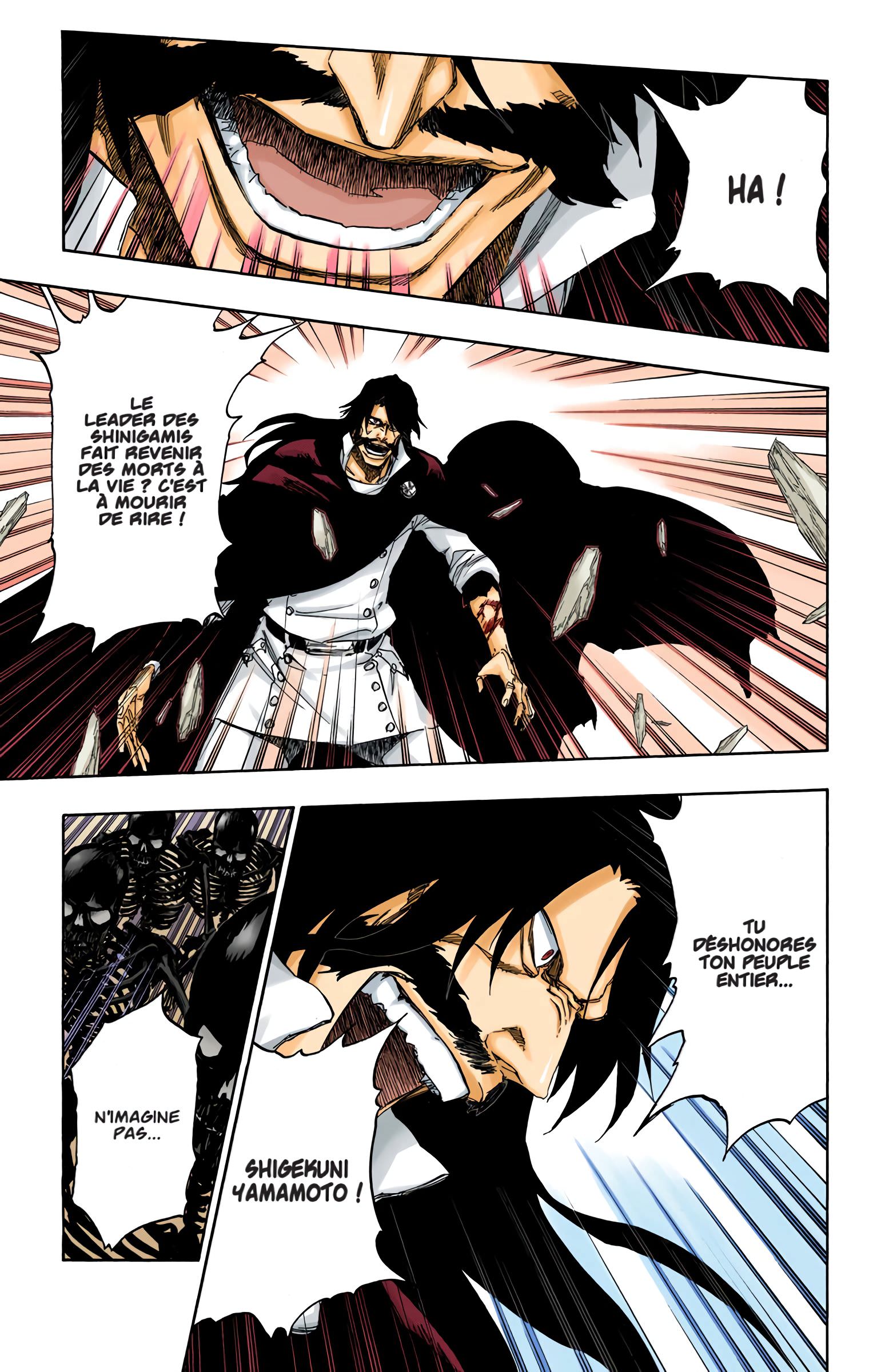 Read Bleach FR Manga Online