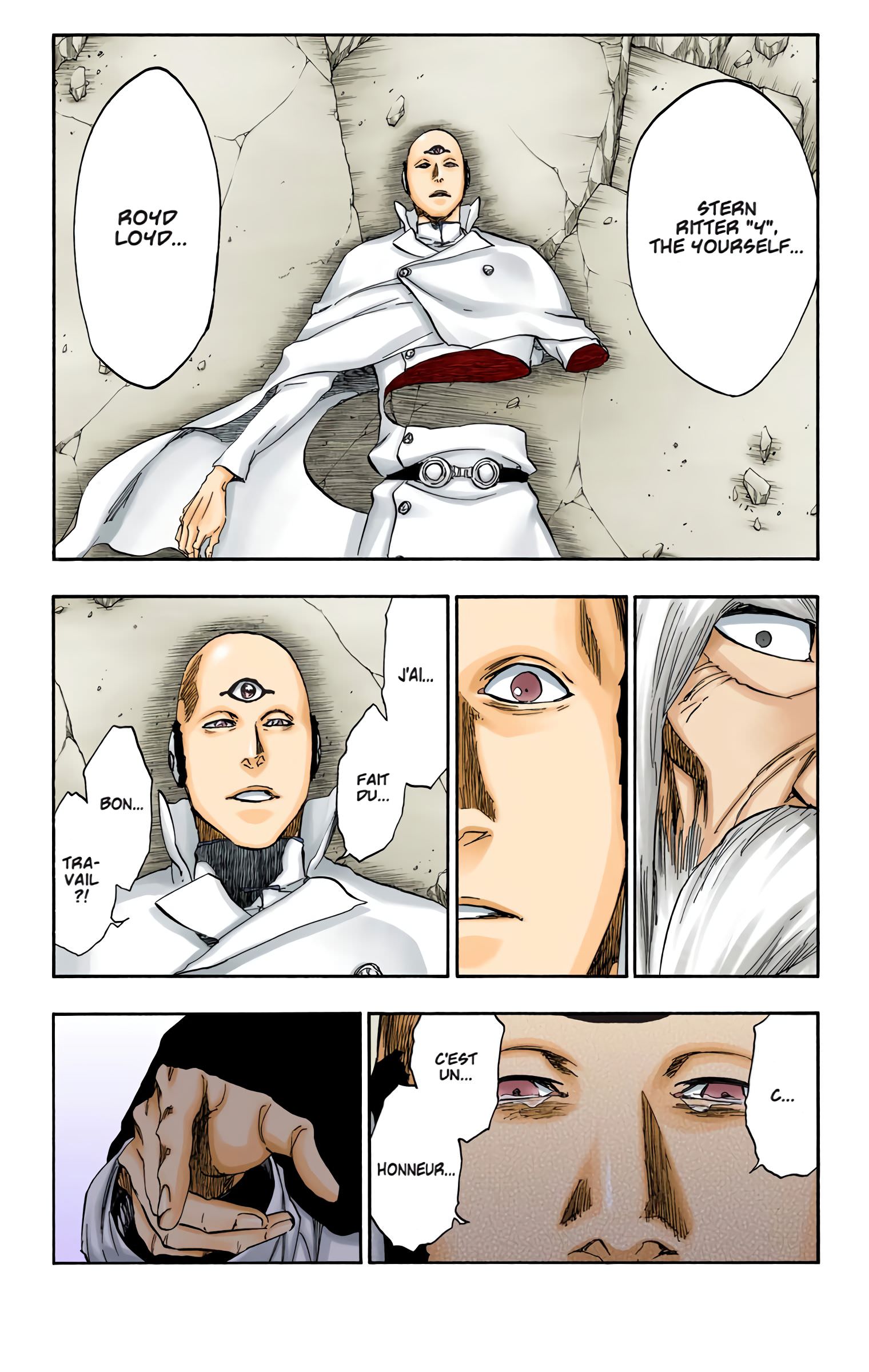 Read Bleach FR Manga Online