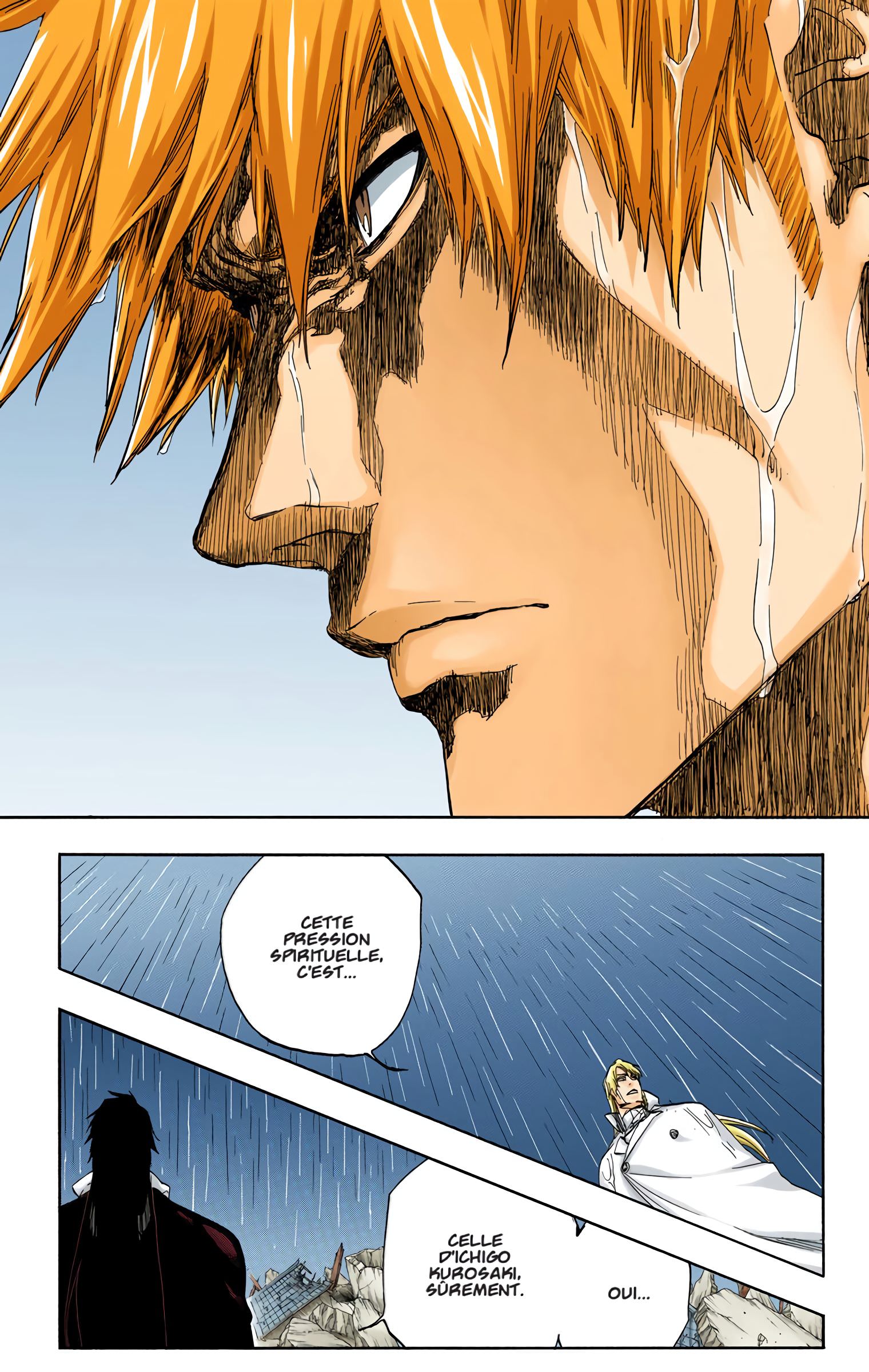 Read Bleach FR Manga Online