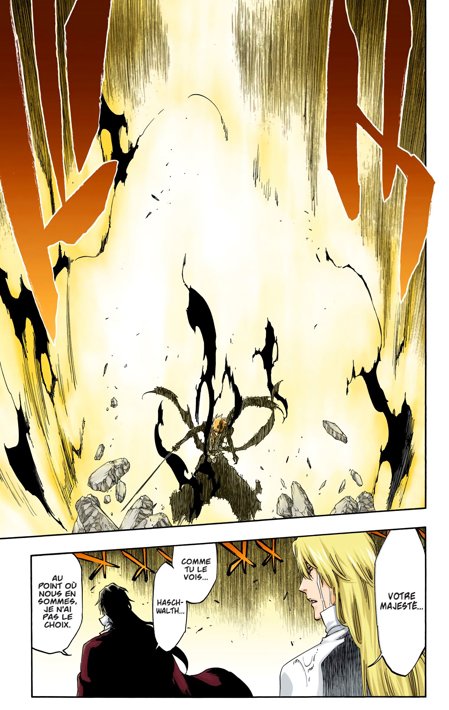 Read Bleach FR Manga Online