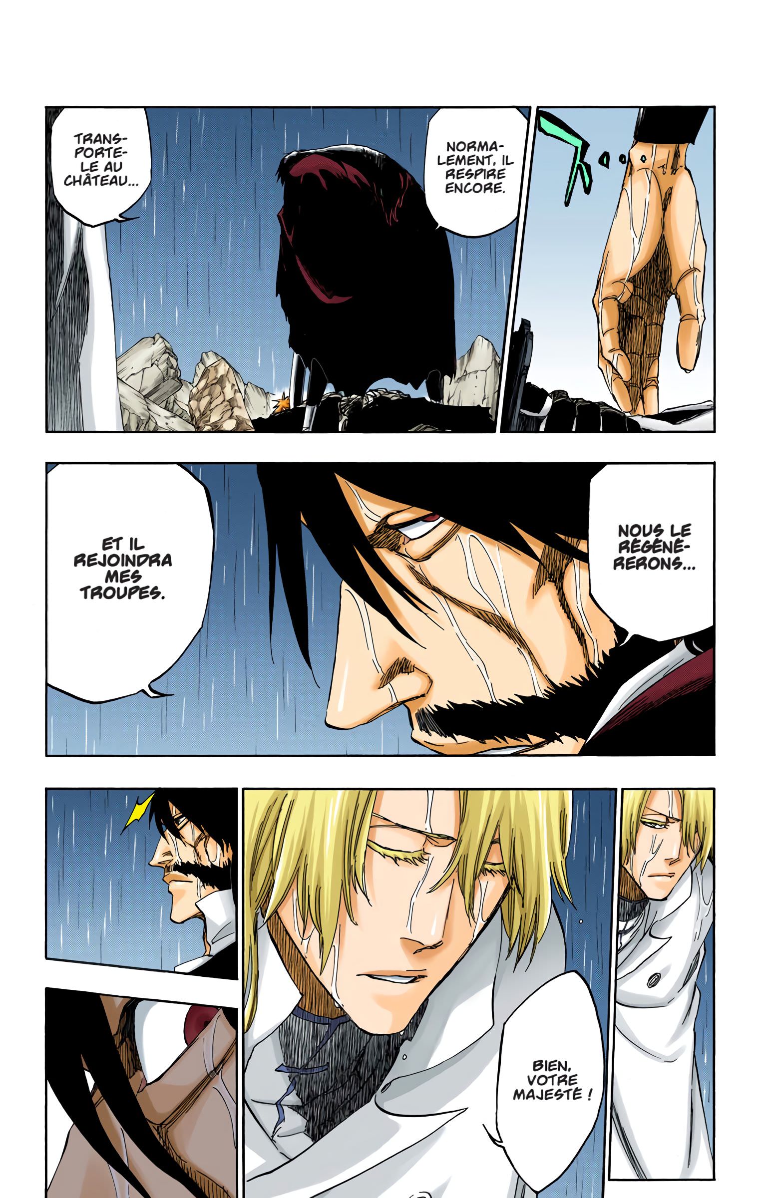 Read Bleach FR Manga Online