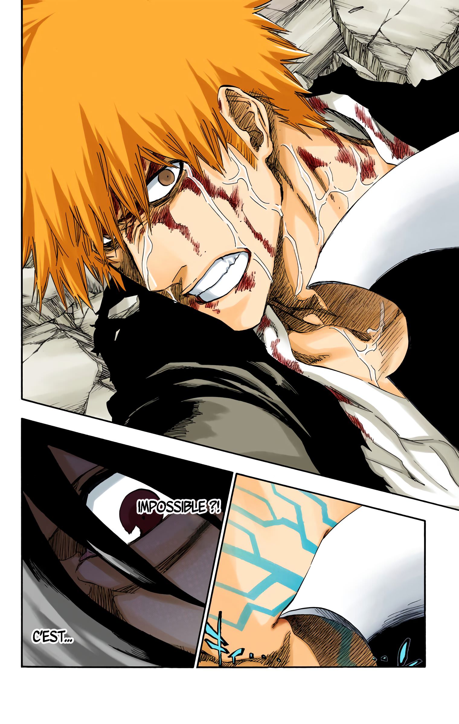 Read Bleach FR Manga Online