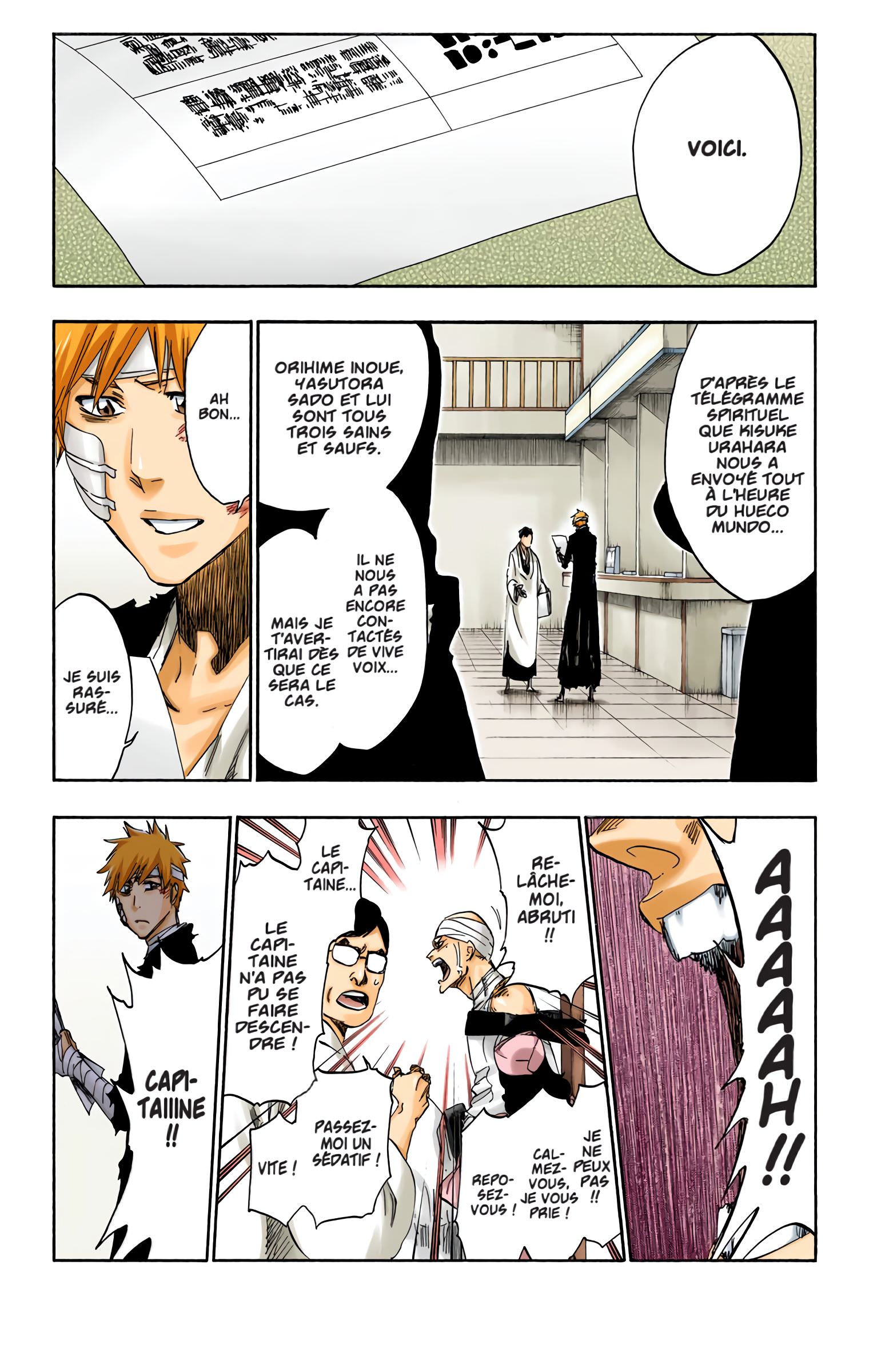 Read Bleach FR Manga Online