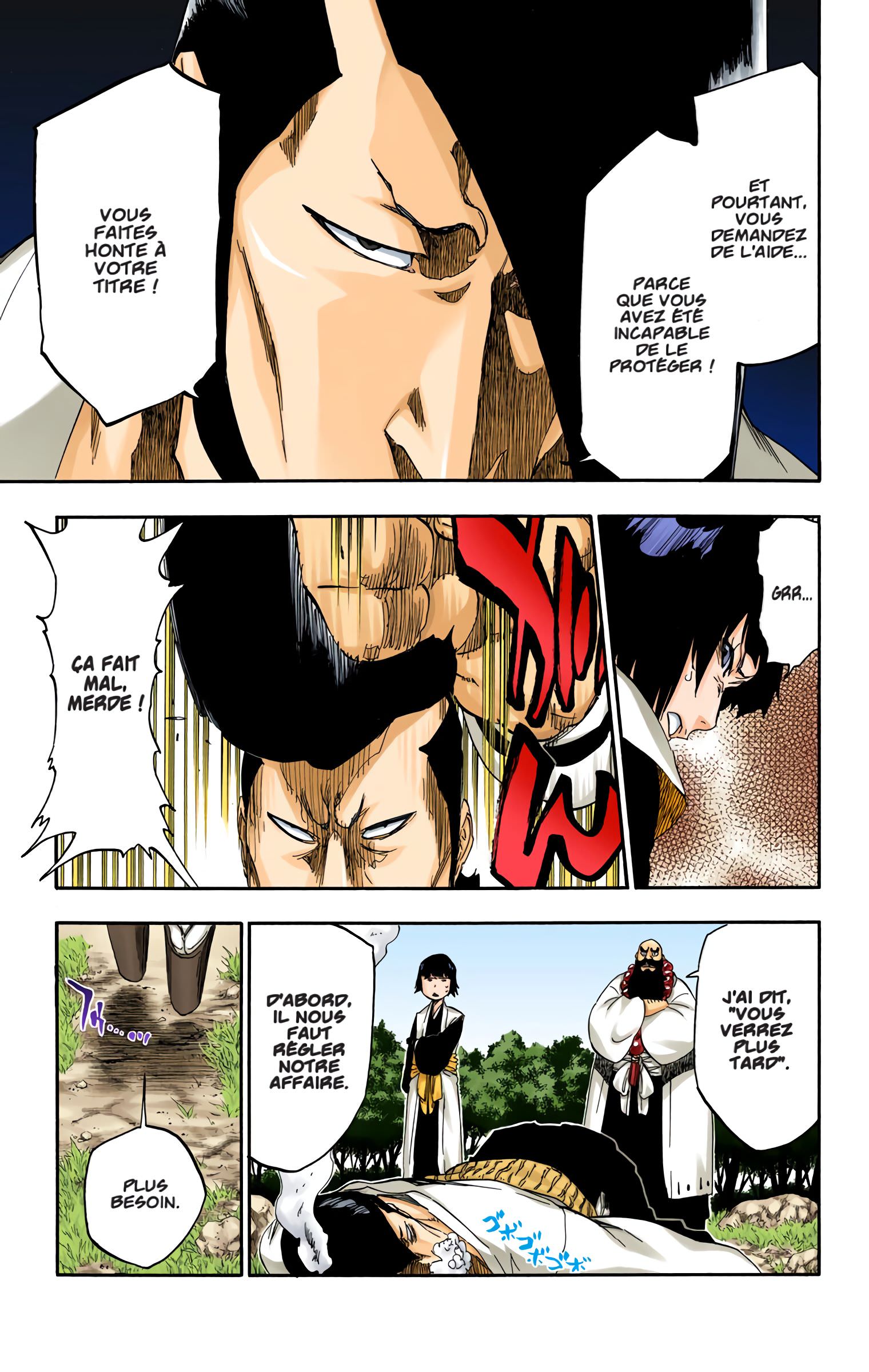 Read Bleach FR Manga Online