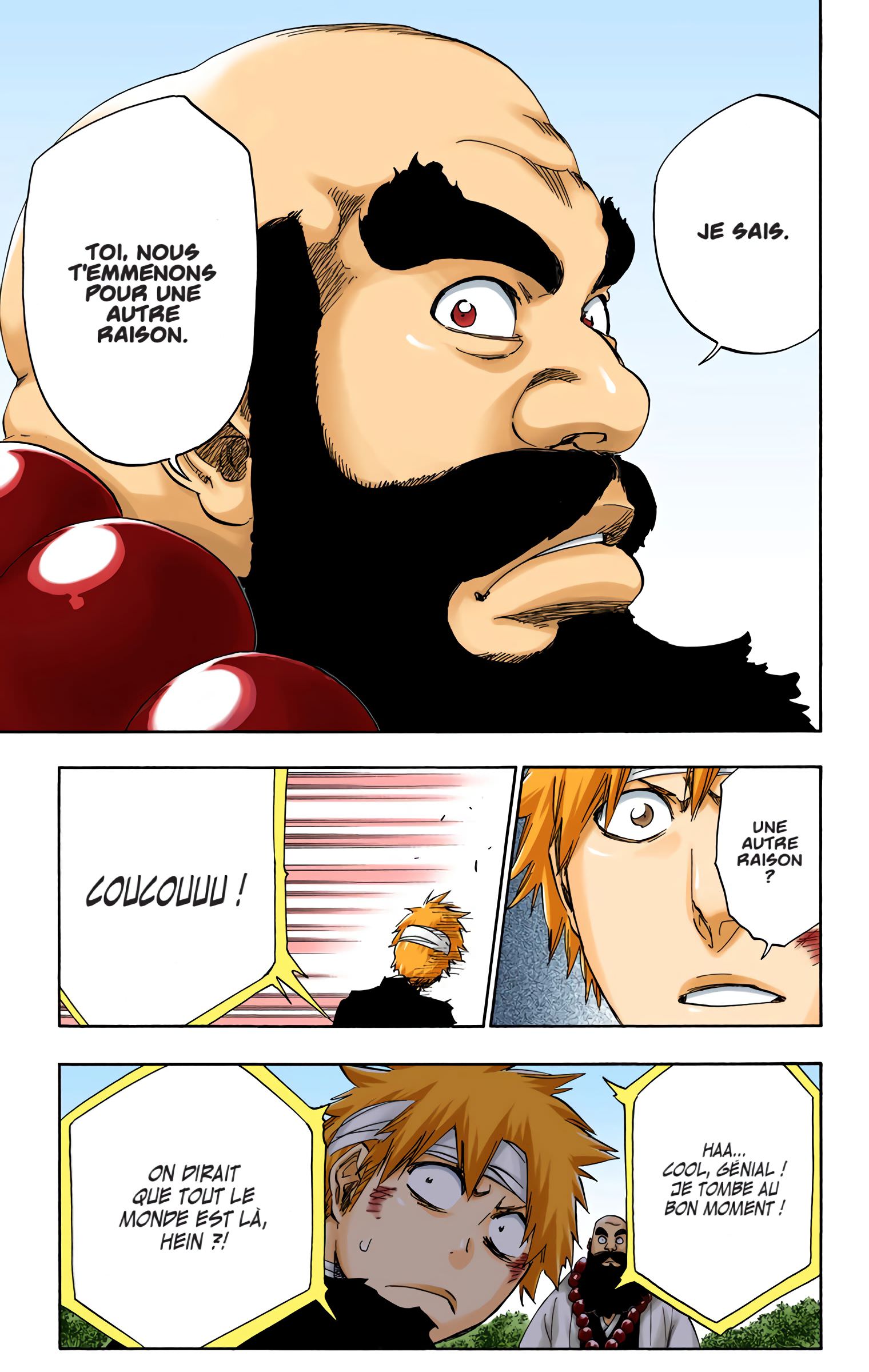 Read Bleach FR Manga Online