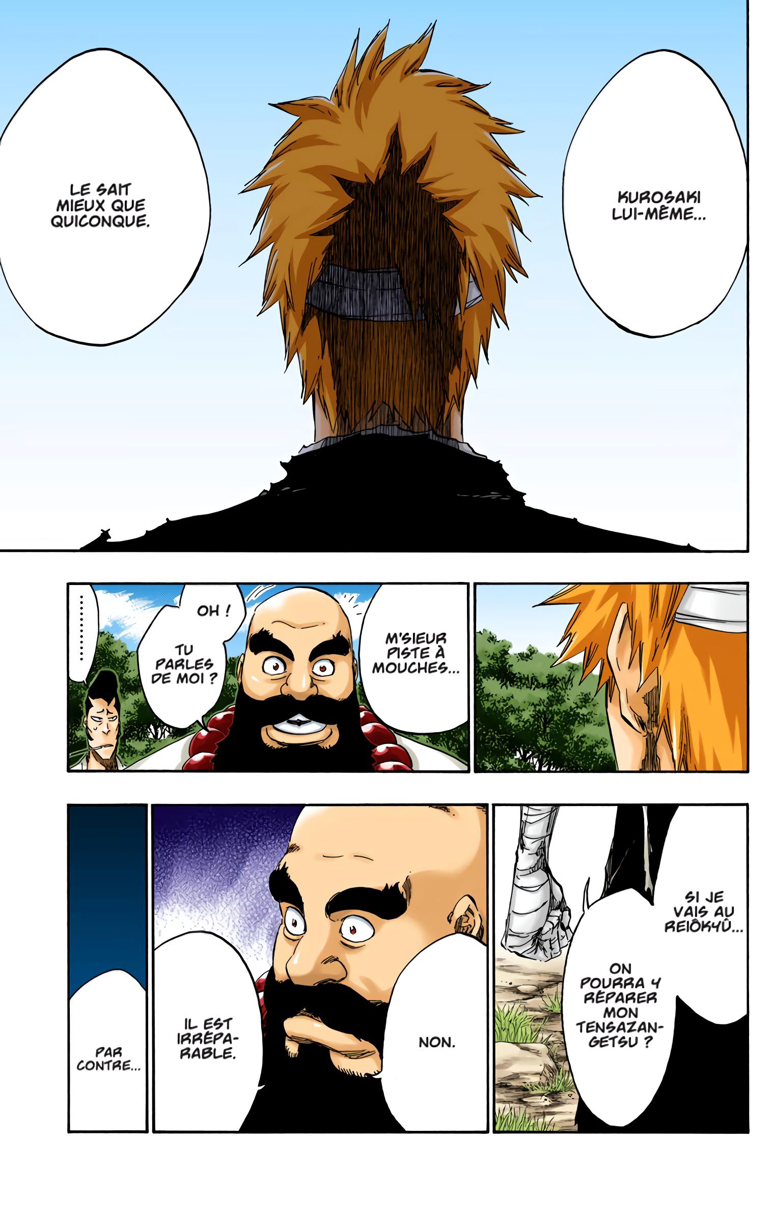 Read Bleach FR Manga Online