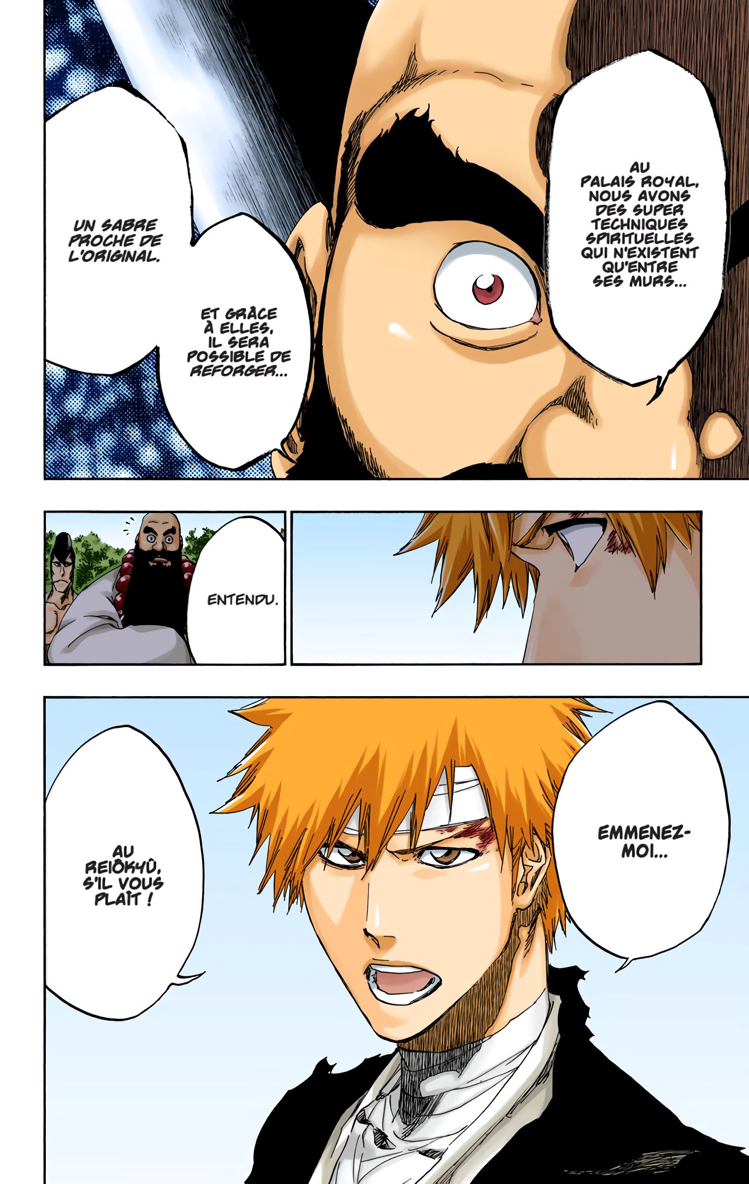 Read Bleach FR Manga Online