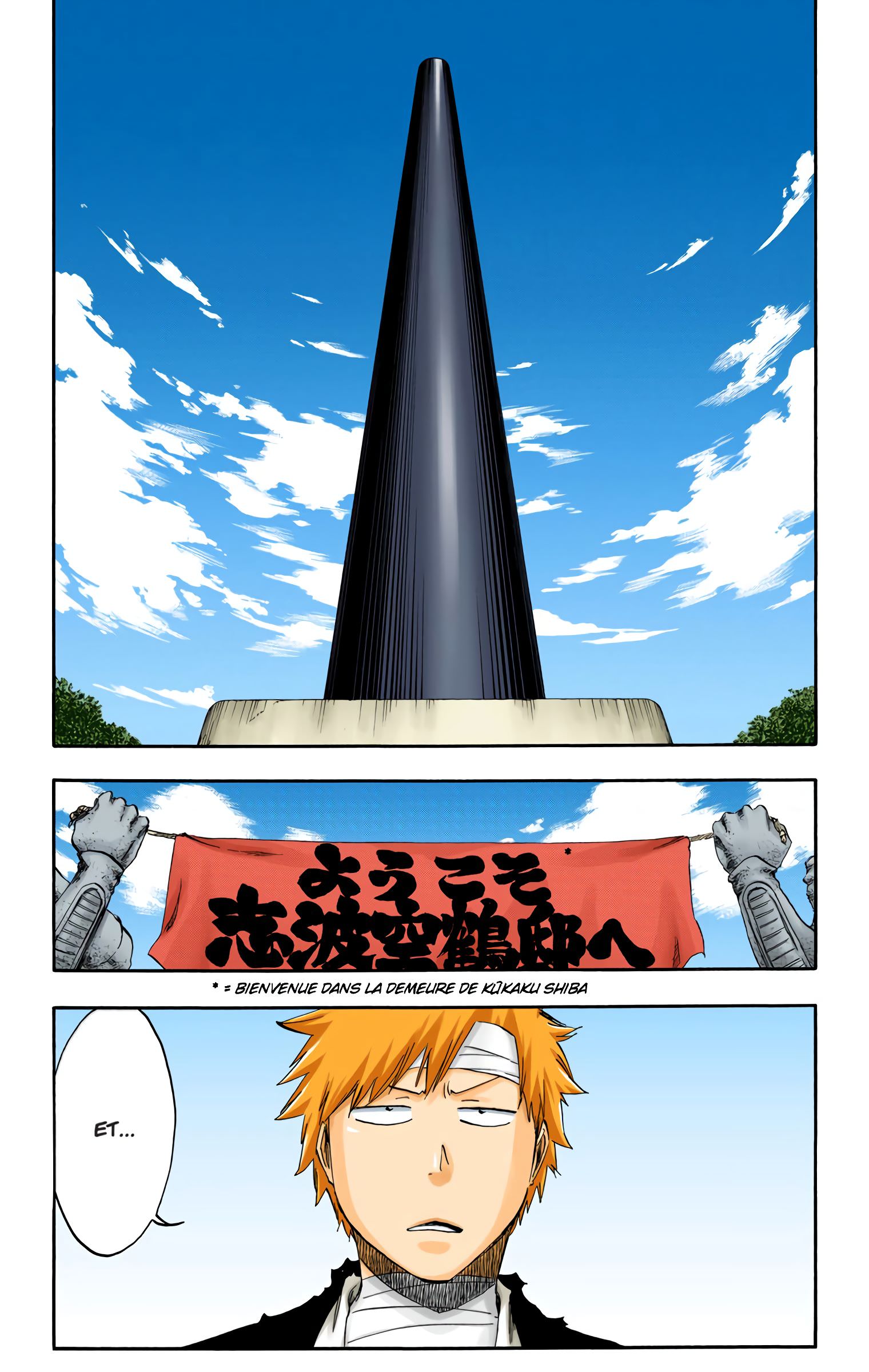 Read Bleach FR Manga Online