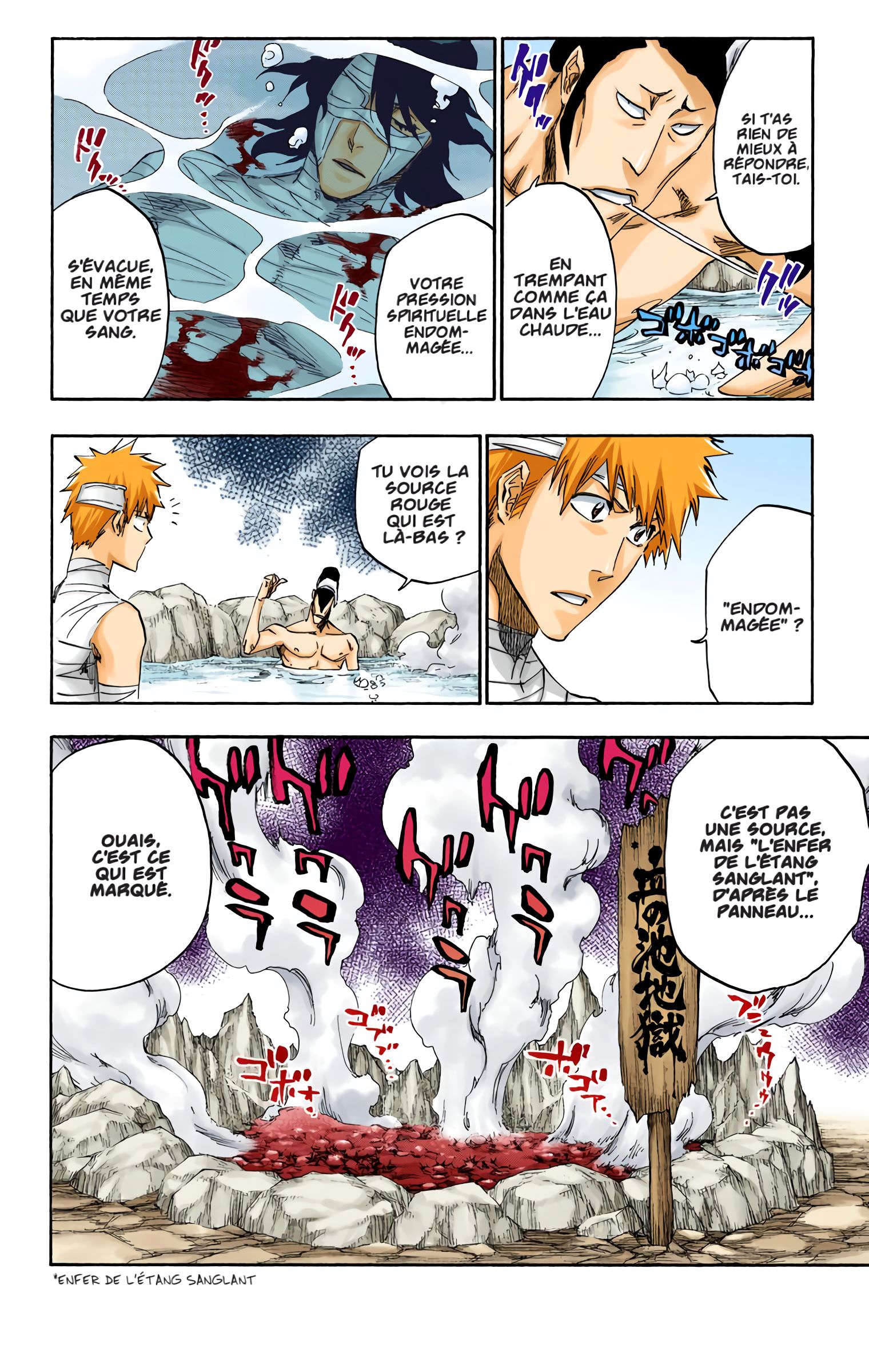 Read Bleach FR Manga Online