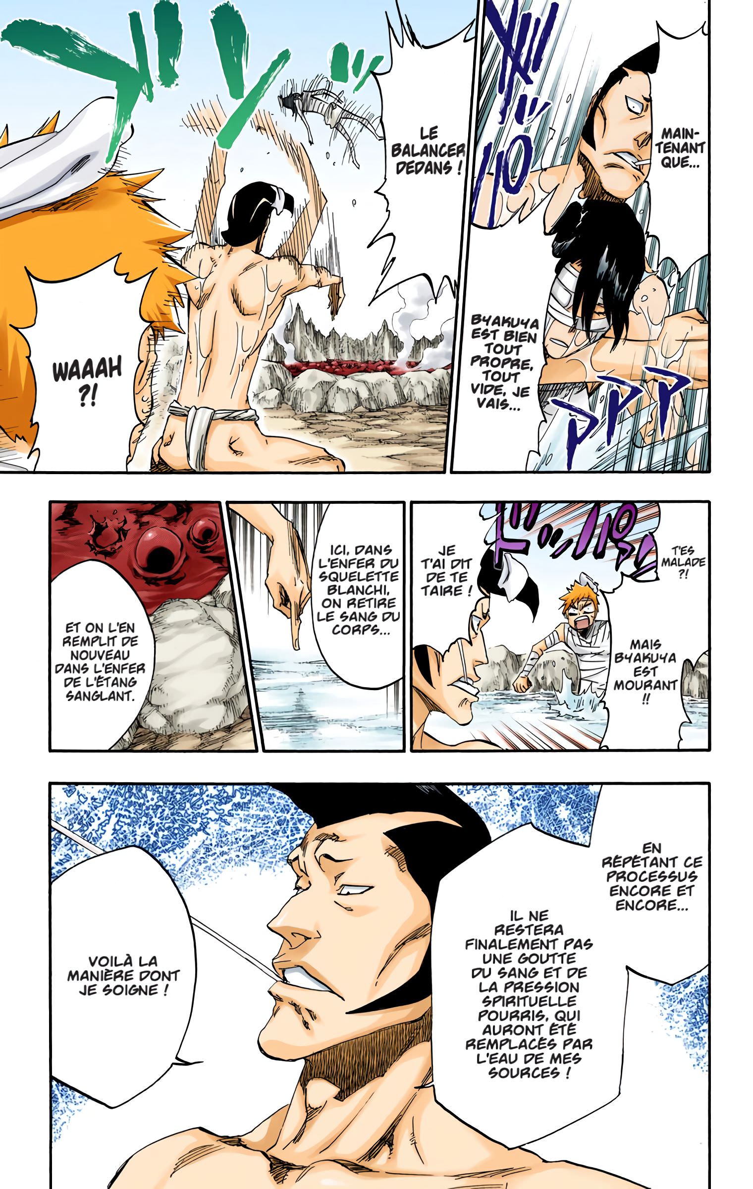 Read Bleach FR Manga Online