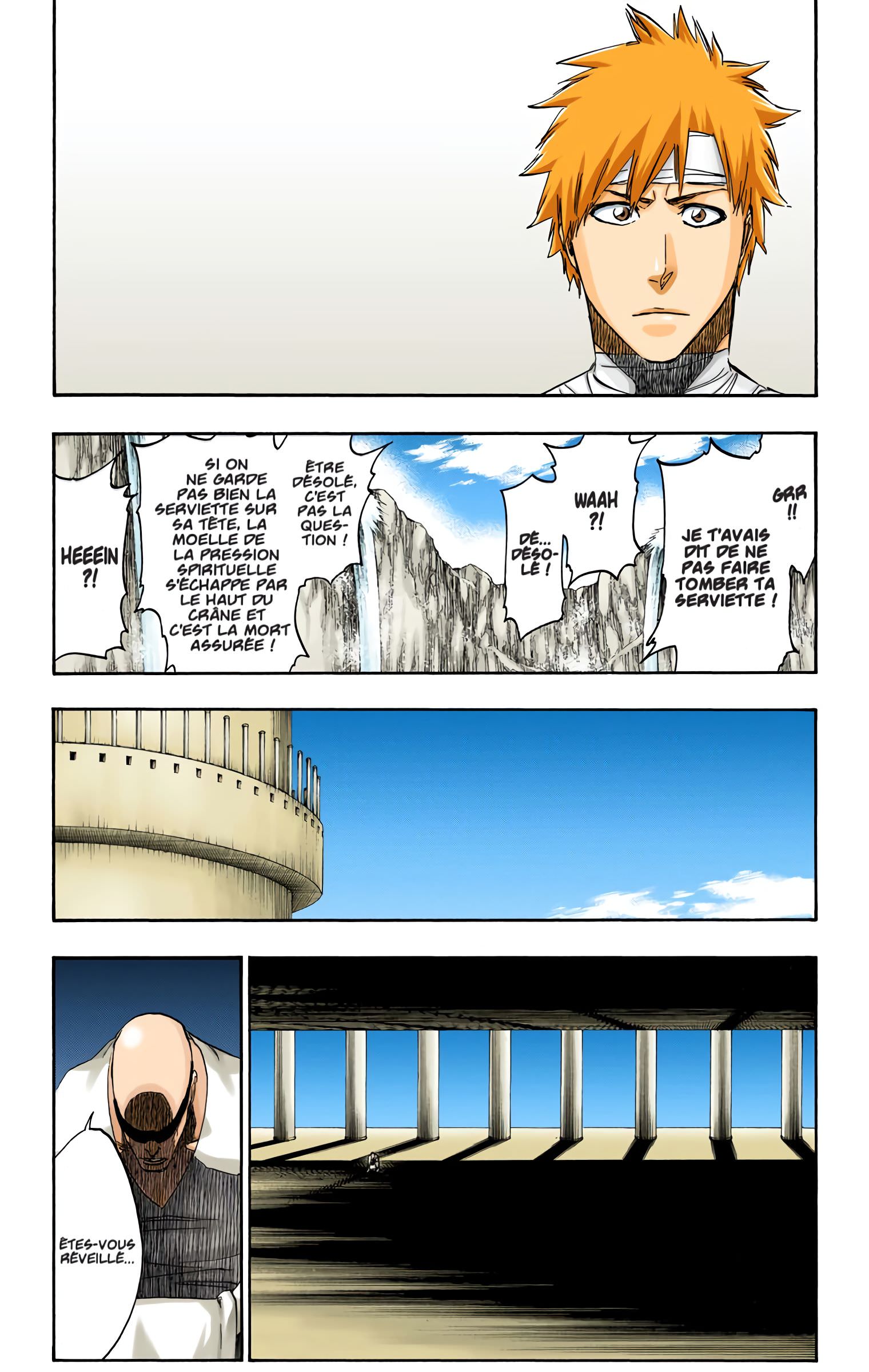 Read Bleach FR Manga Online