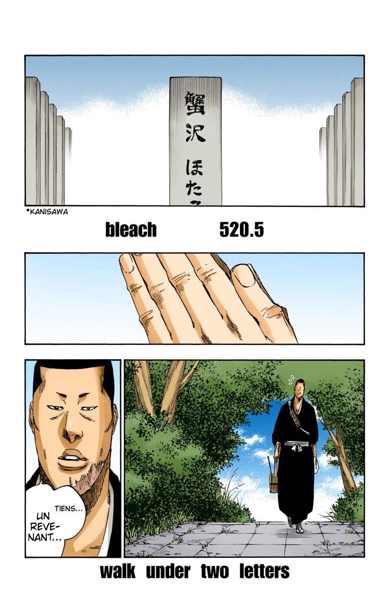 Read Bleach FR Manga Online