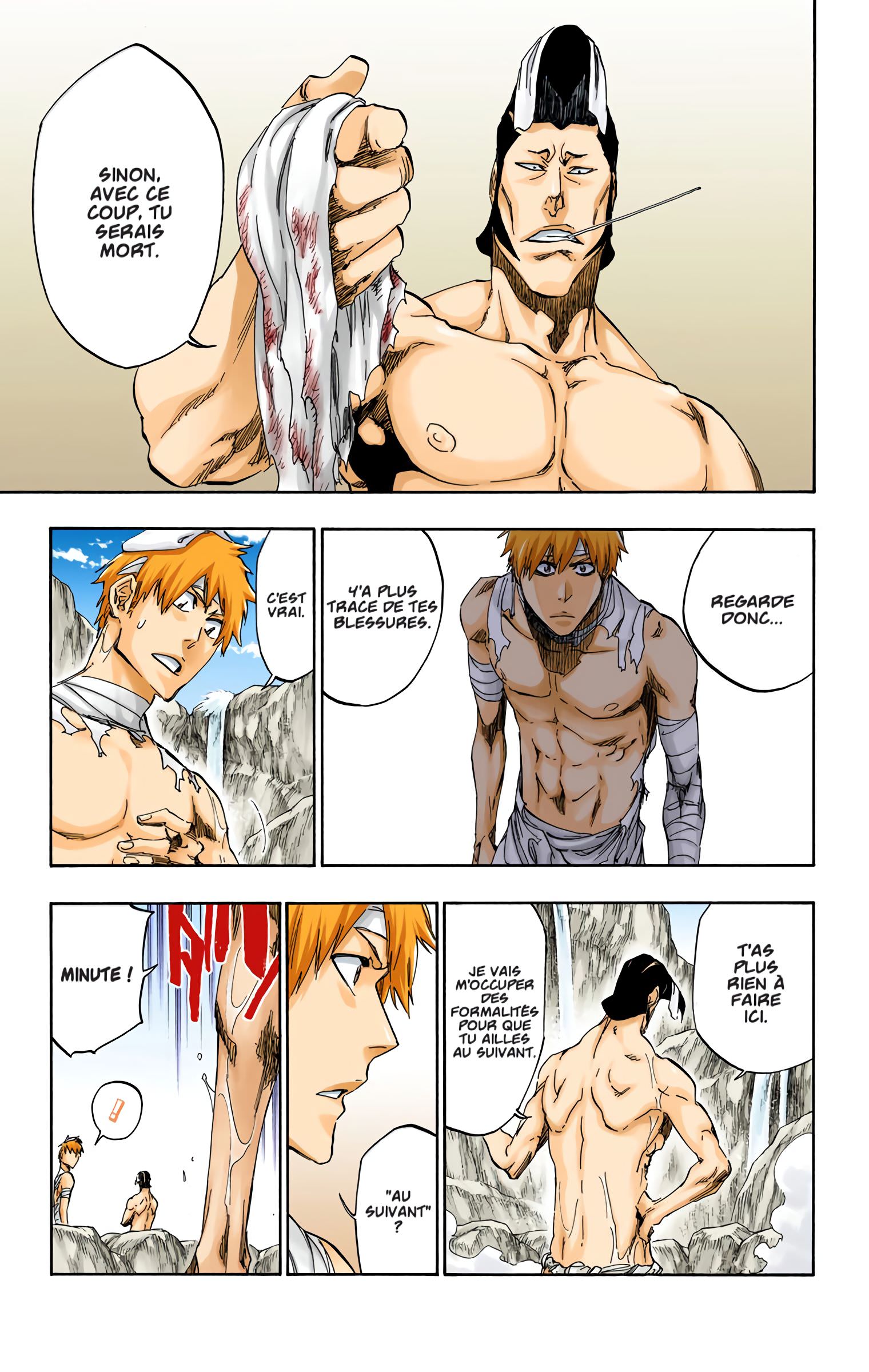 Read Bleach FR Manga Online