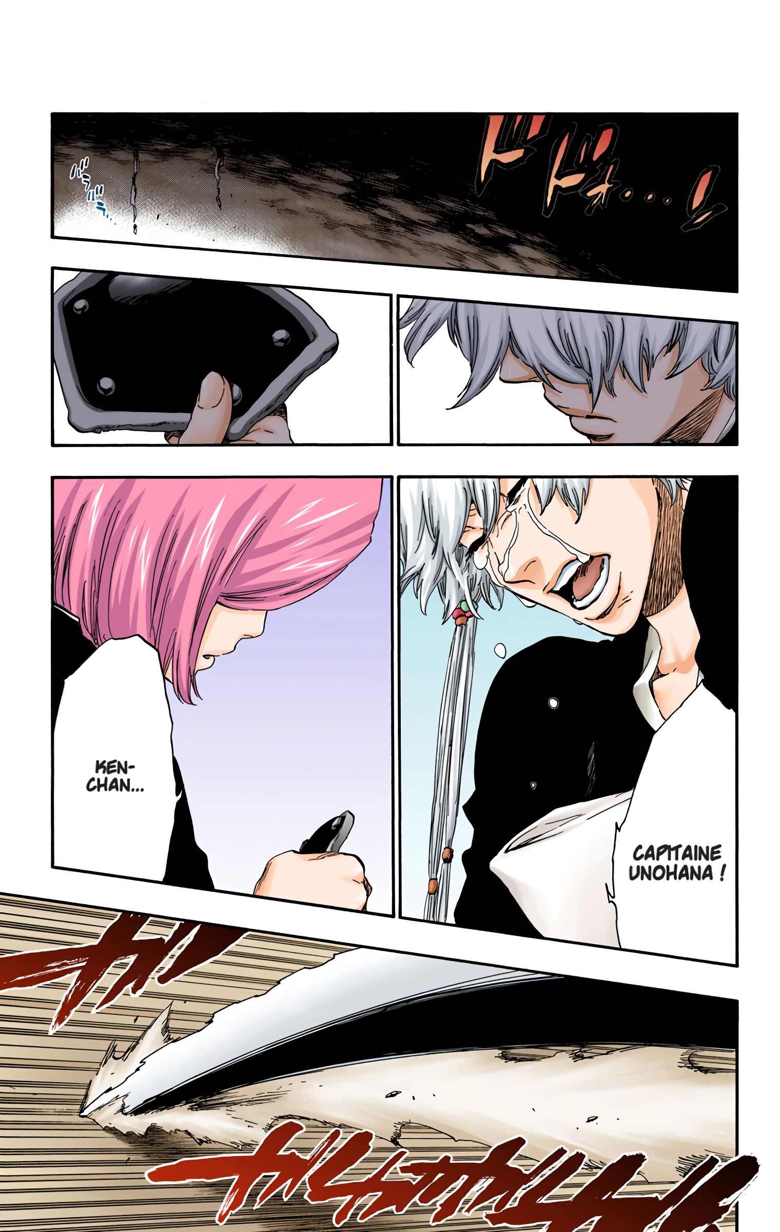 Read Bleach FR Manga Online