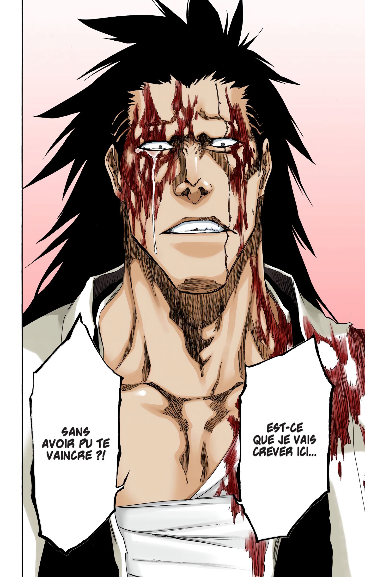 Read Bleach FR Manga Online