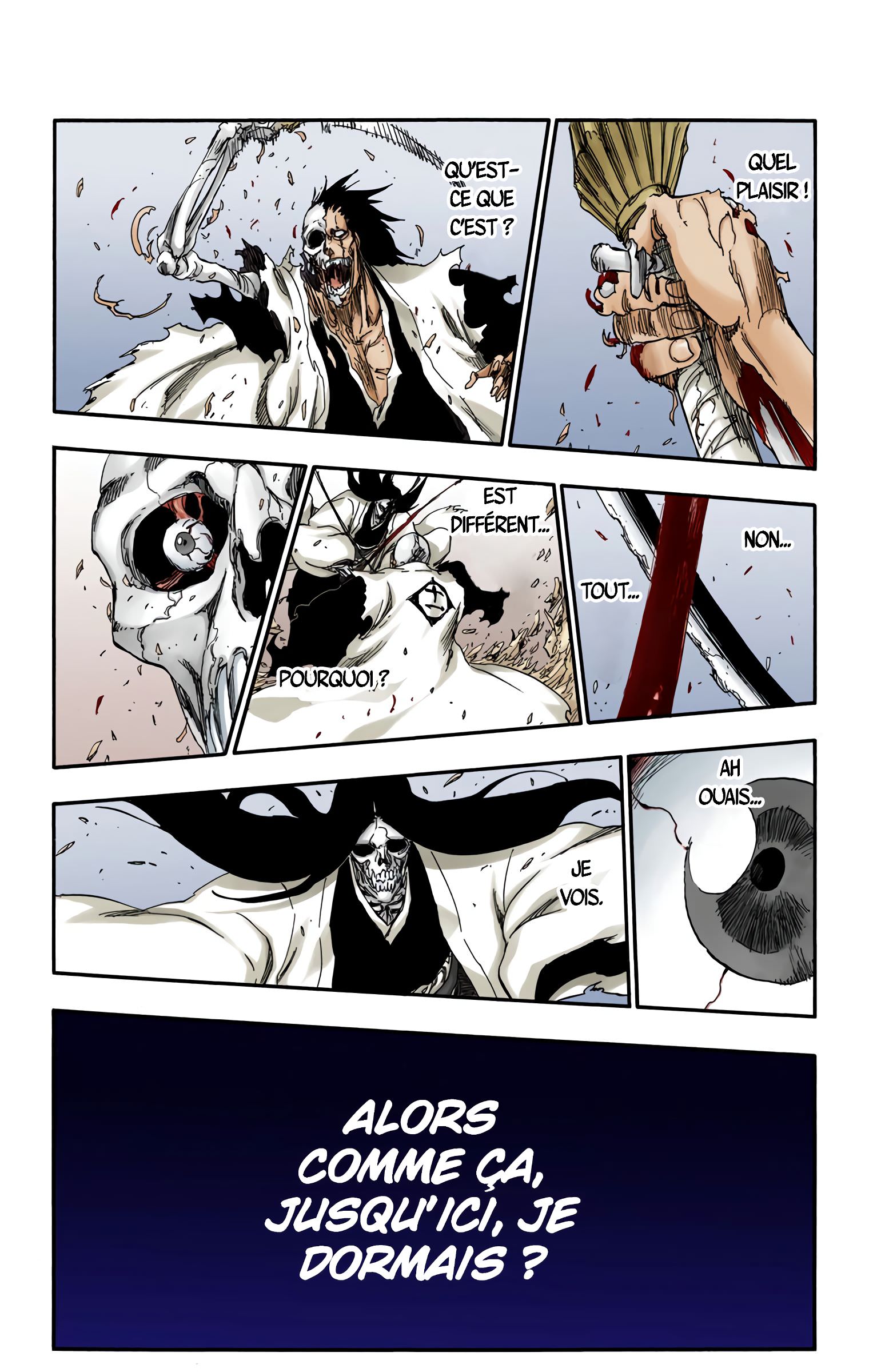 Read Bleach FR Manga Online