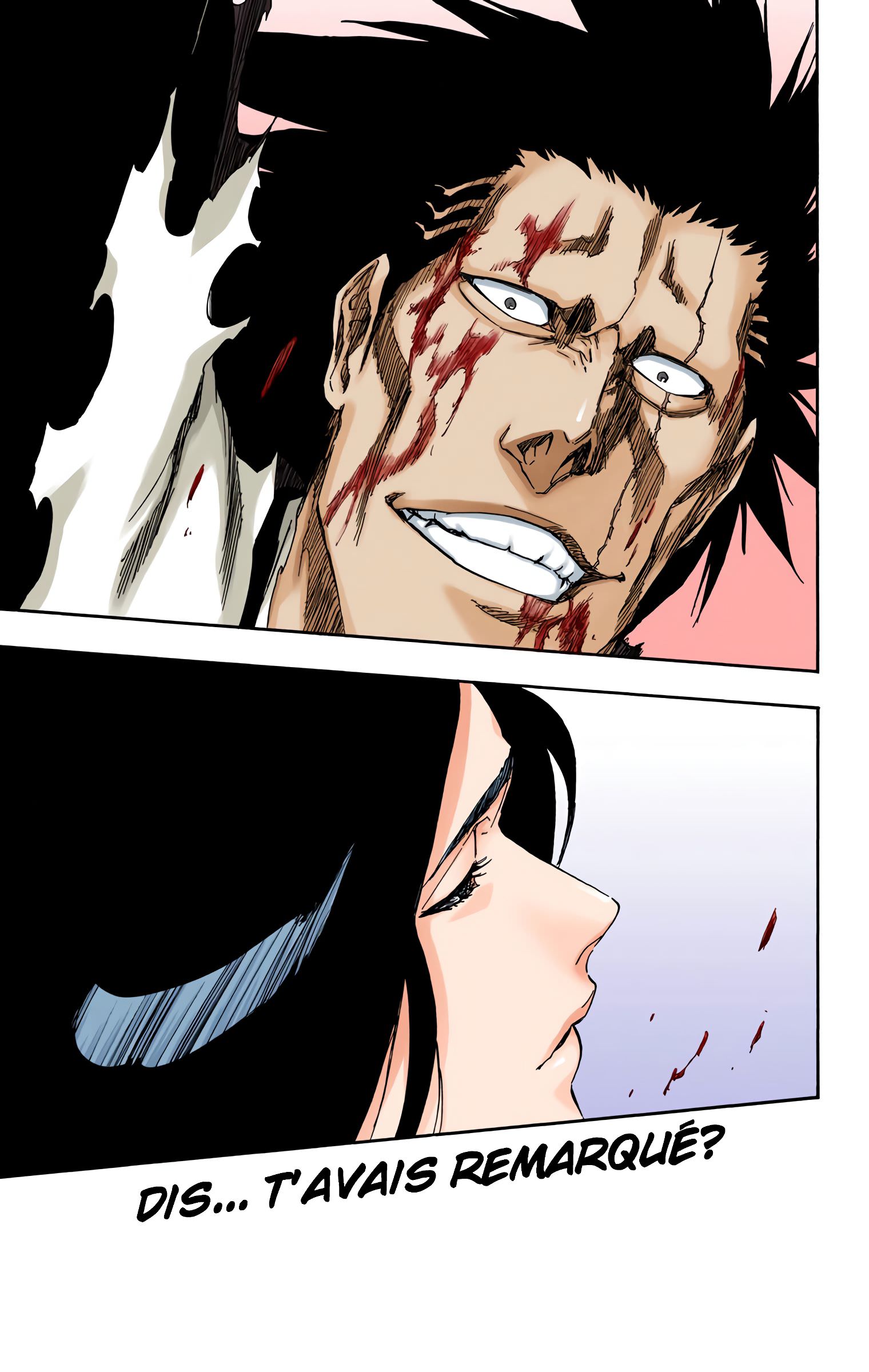 Read Bleach FR Manga Online