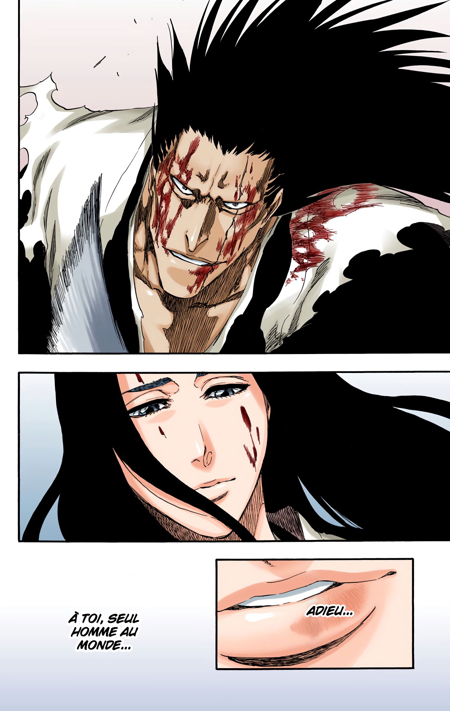 Read Bleach FR Manga Online