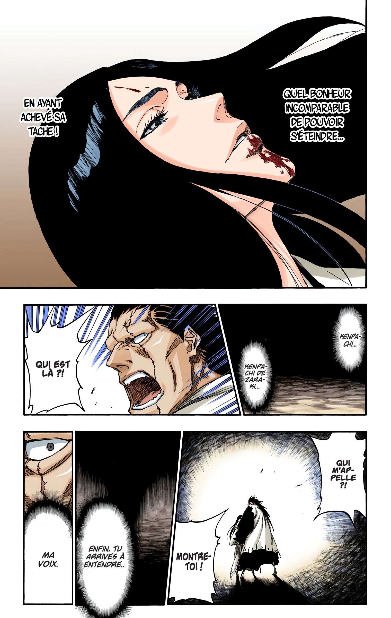 Read Bleach FR Manga Online