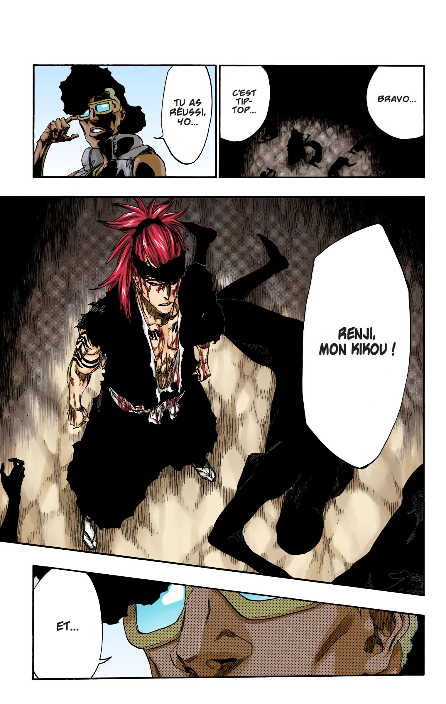 Read Bleach FR Manga Online