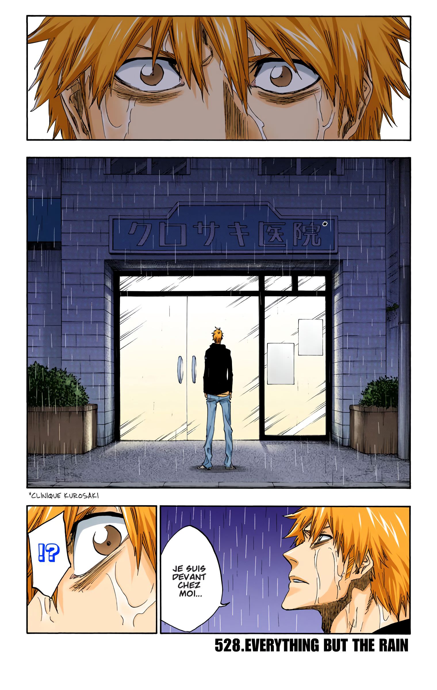 Read Bleach FR Manga Online