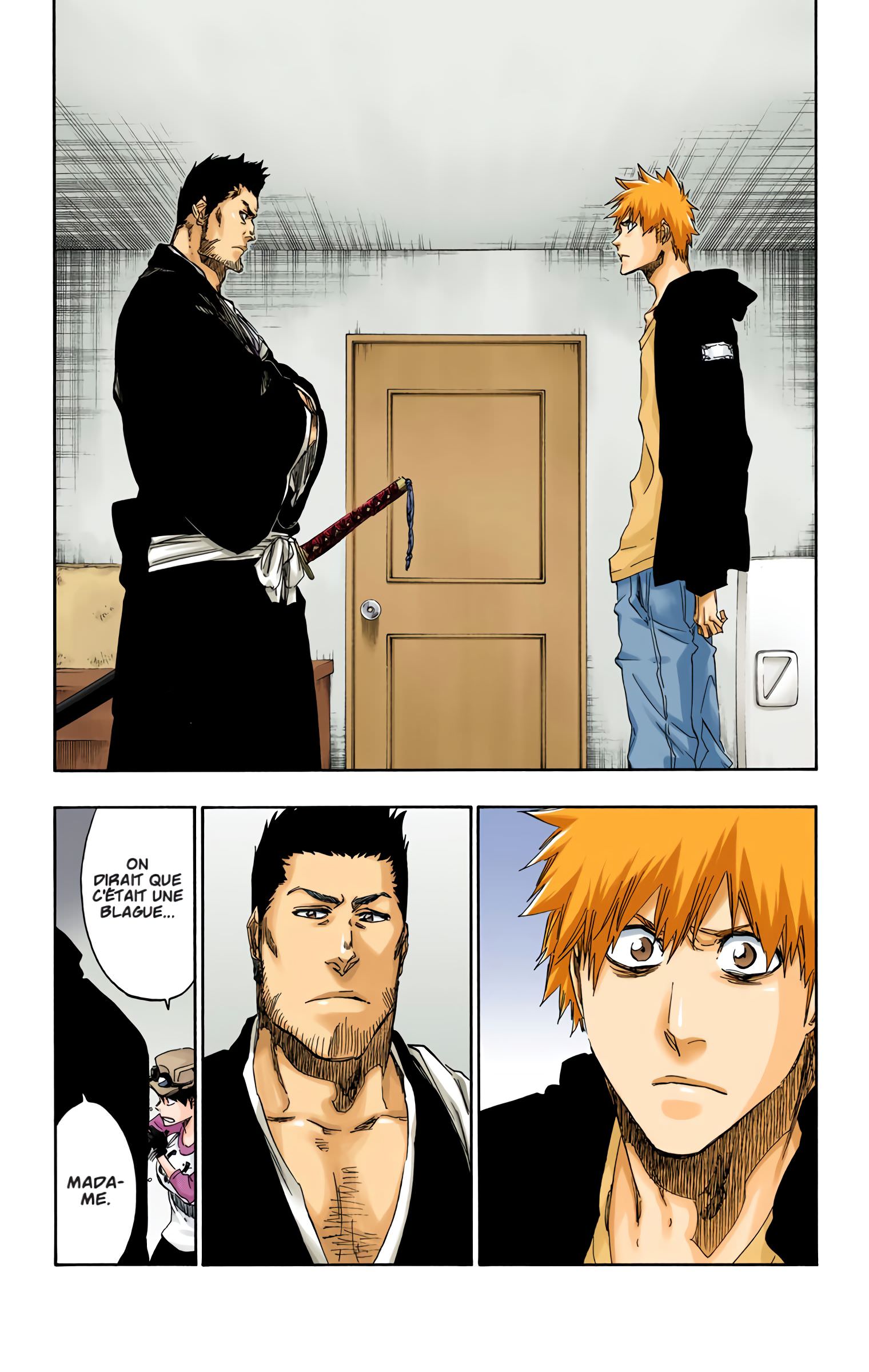 Read Bleach FR Manga Online